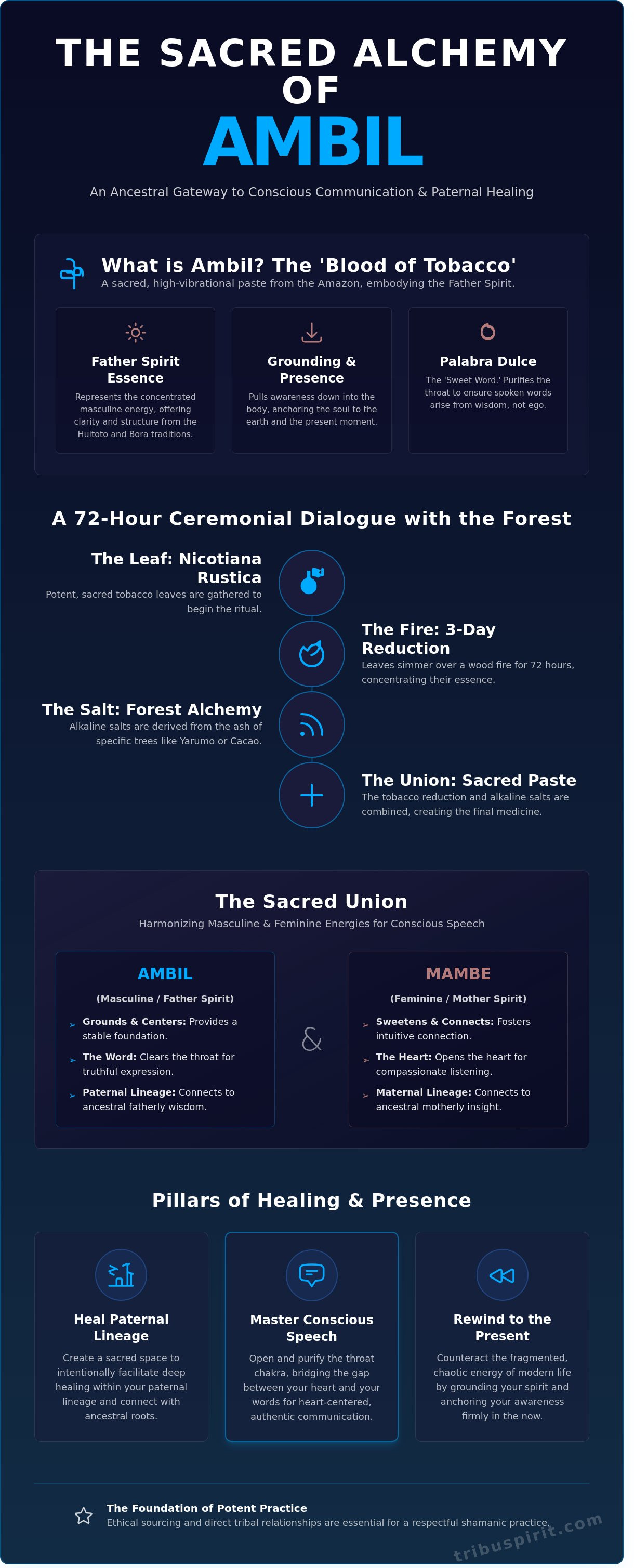 Ambil: A Guide to the Sacred Amazonian Tobacco Paste and the Medicine –  us.tribuspirit.com