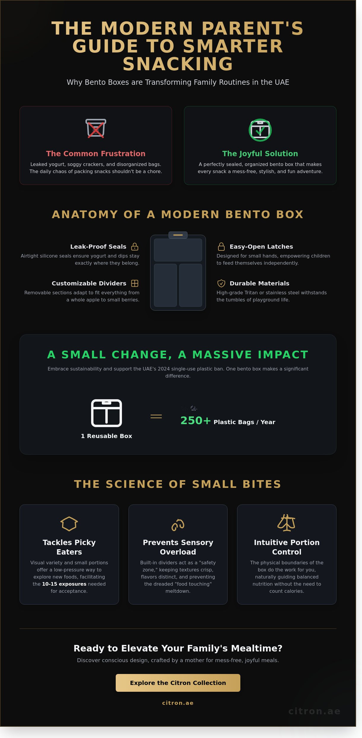 Bento snack box