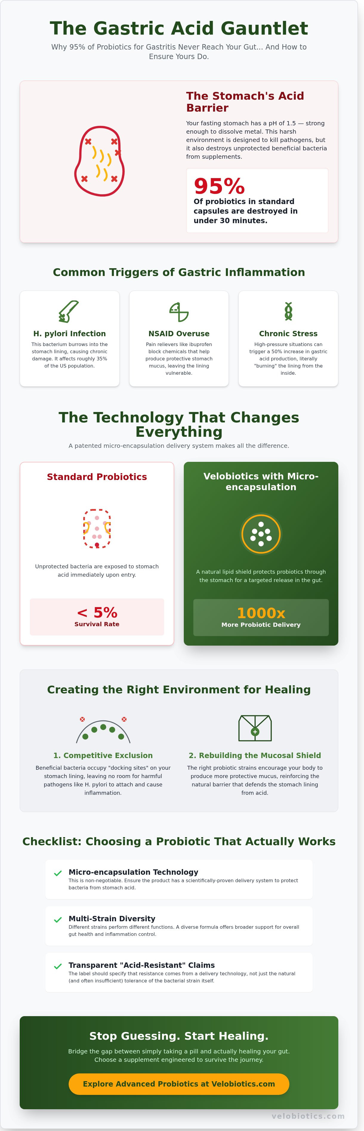 Probiotics for gastritis