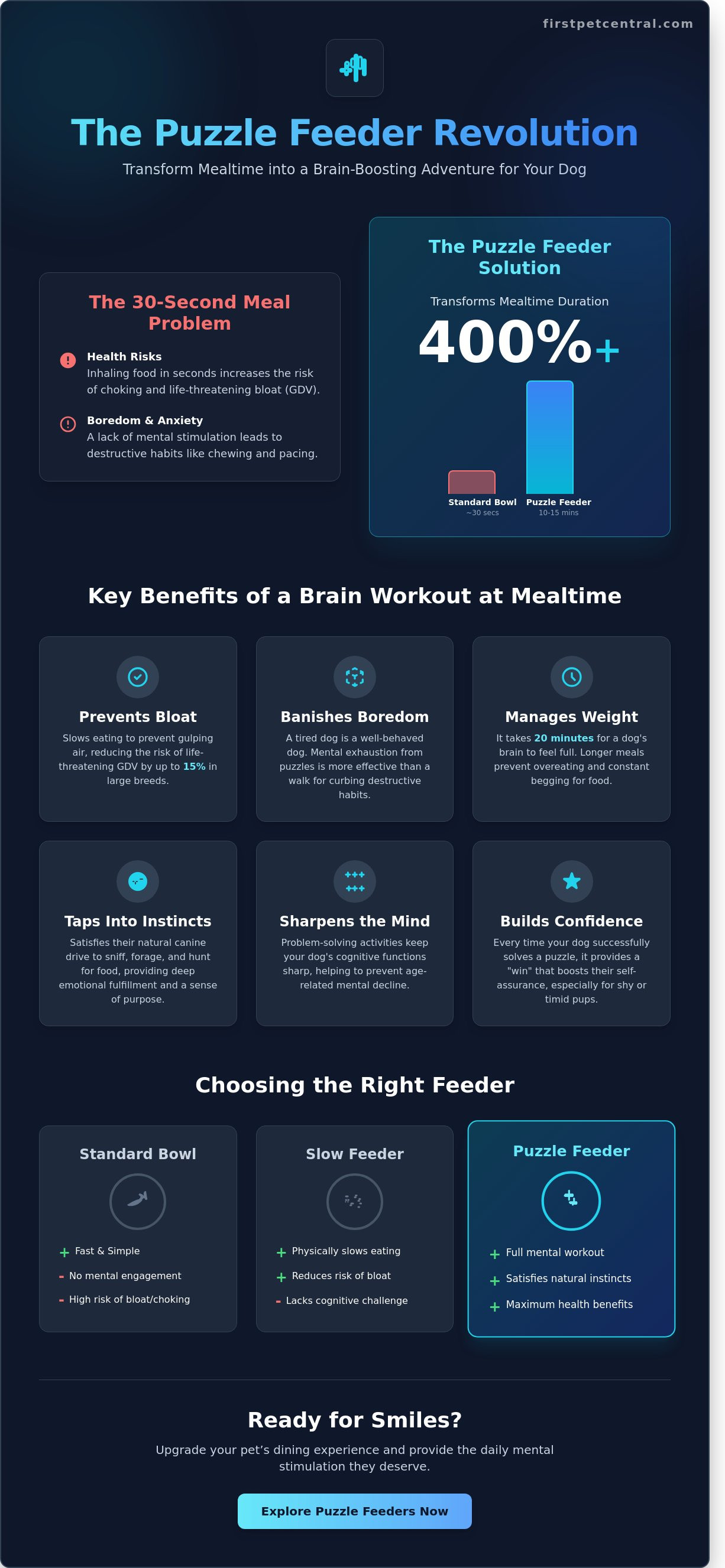 Benefits of dog puzzle feeders