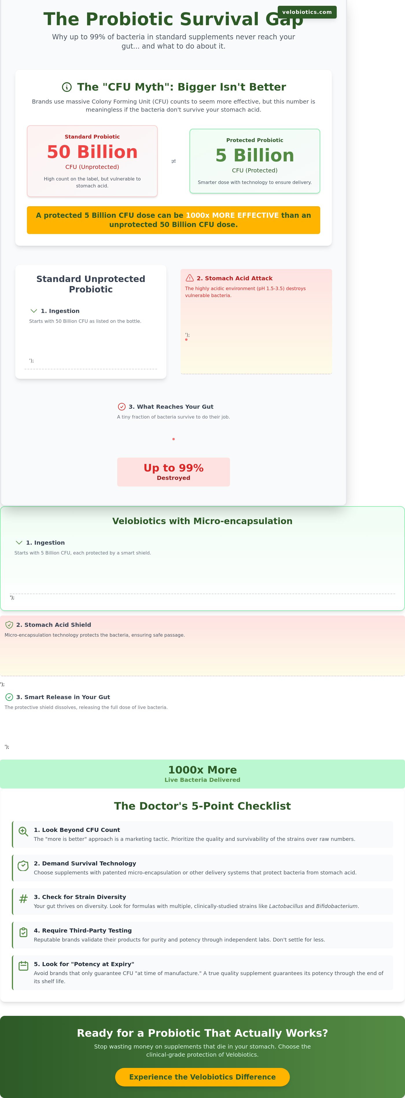 Best probiotic supplement