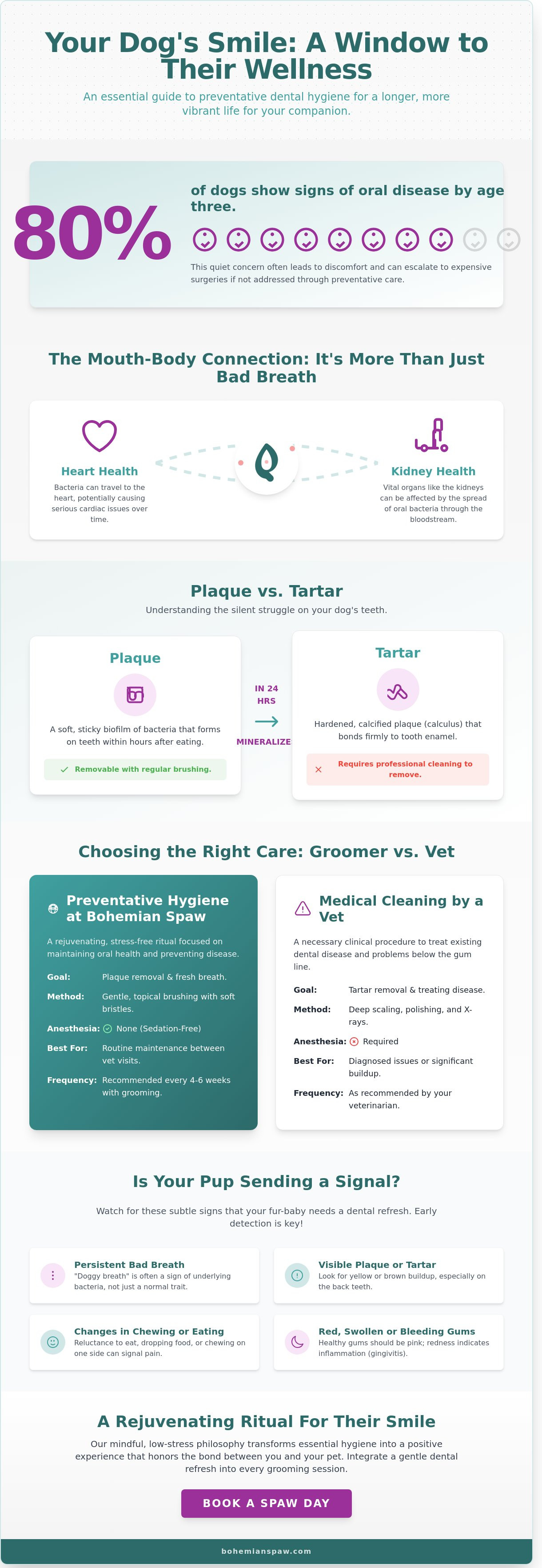 Dog teeth brushing lisle