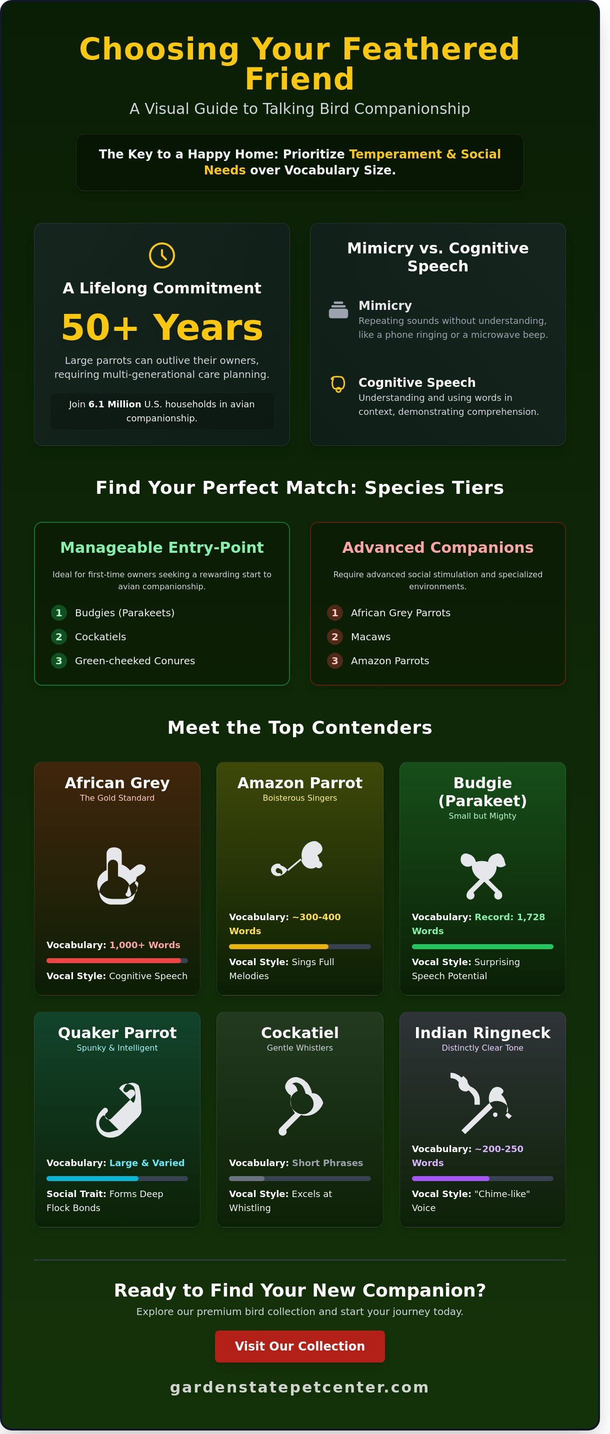 Talking birds for sale