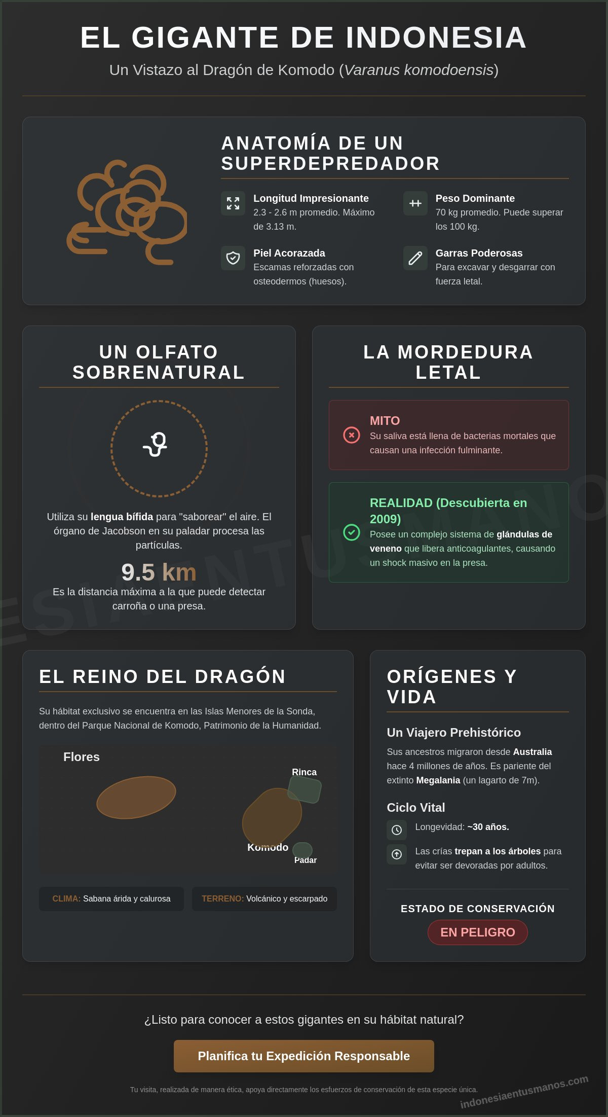 Dragones de komodo
