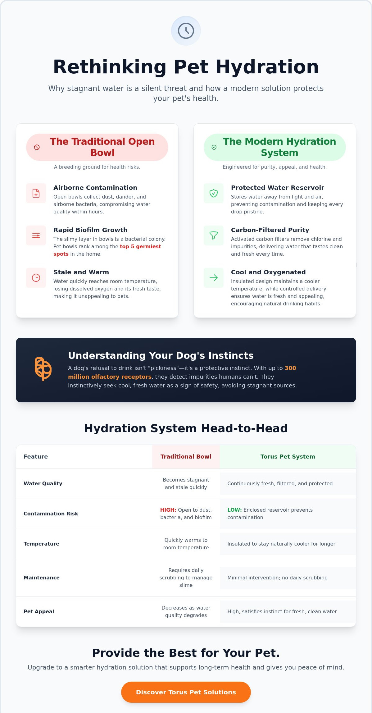 How to encourage a dog to drink more water