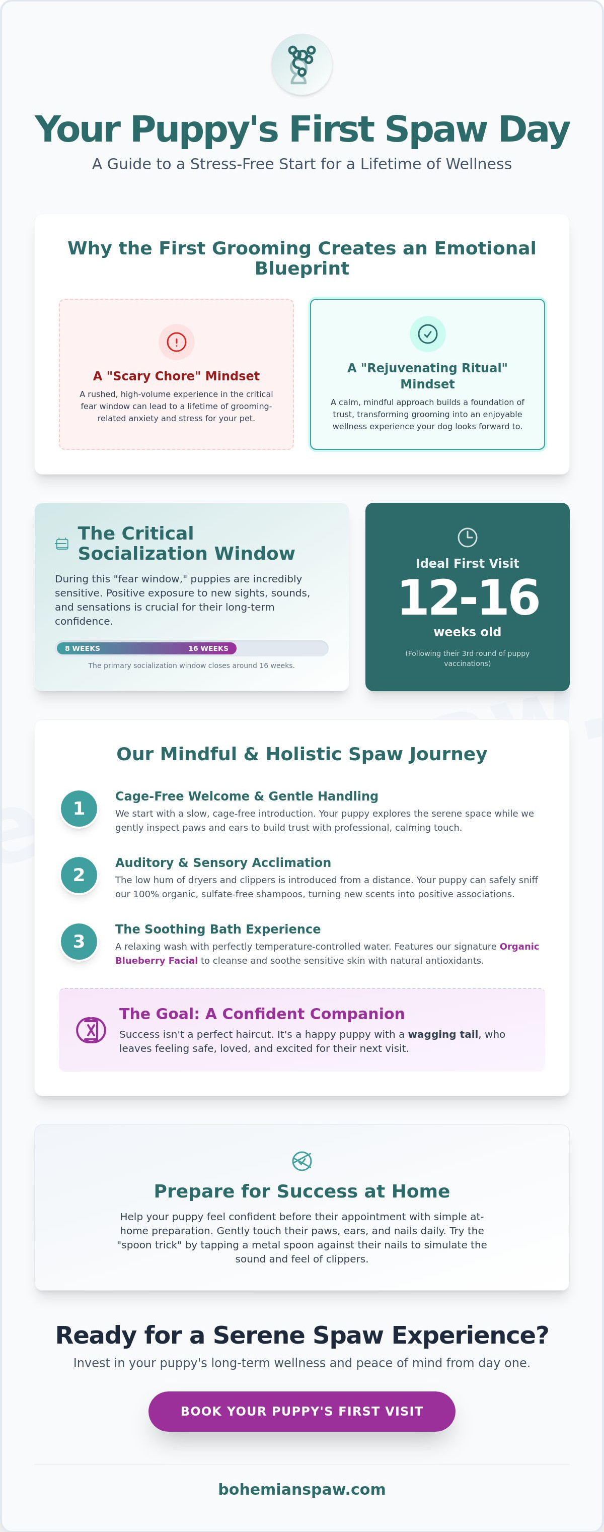 Puppy's first grooming Wheaton