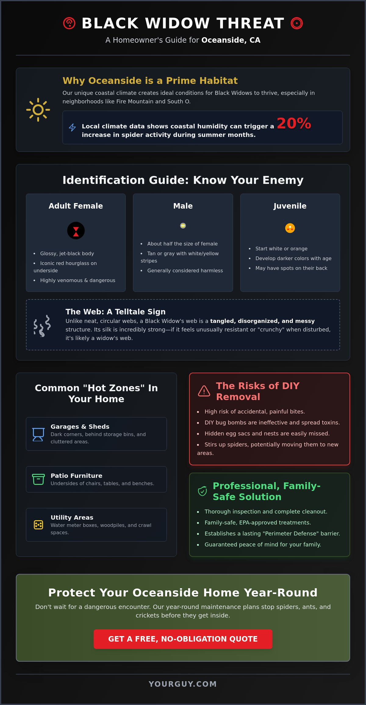 Black widow spider removal Oceanside