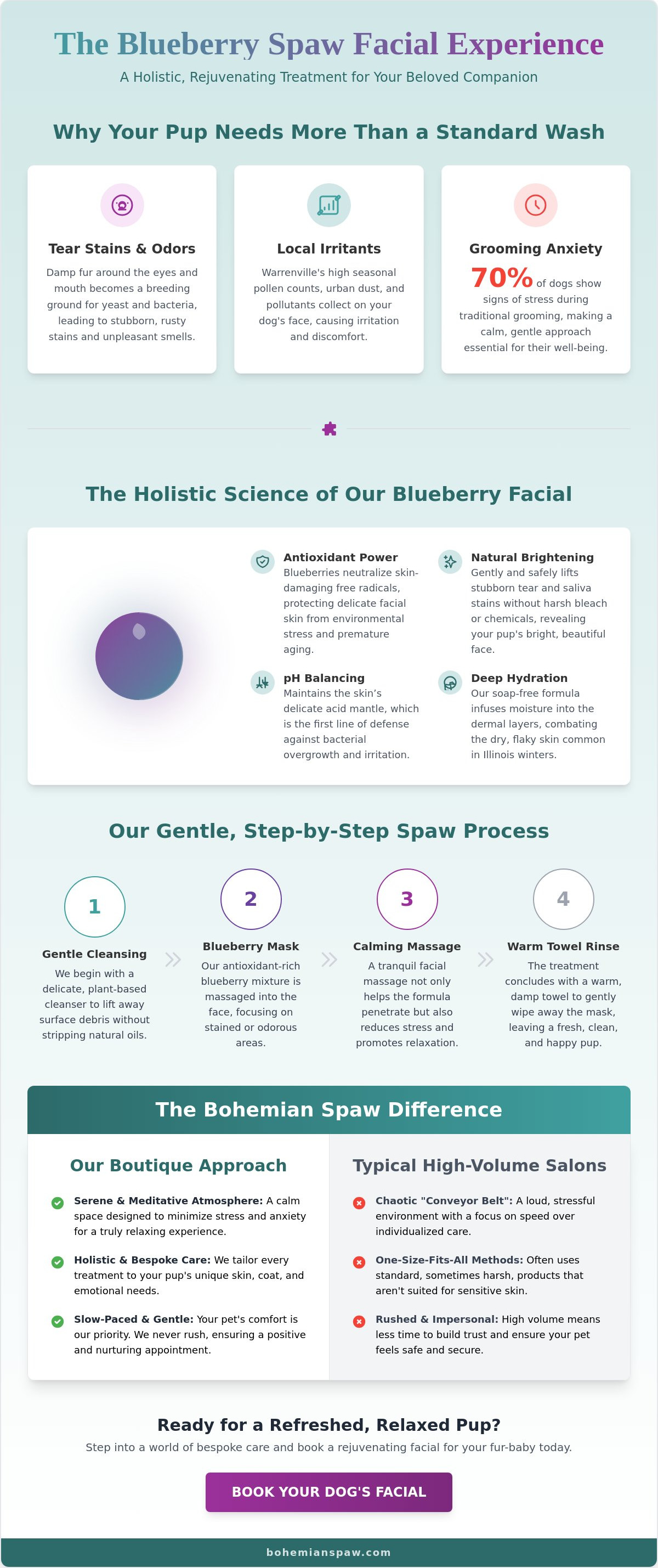 Dog facial Warrenville