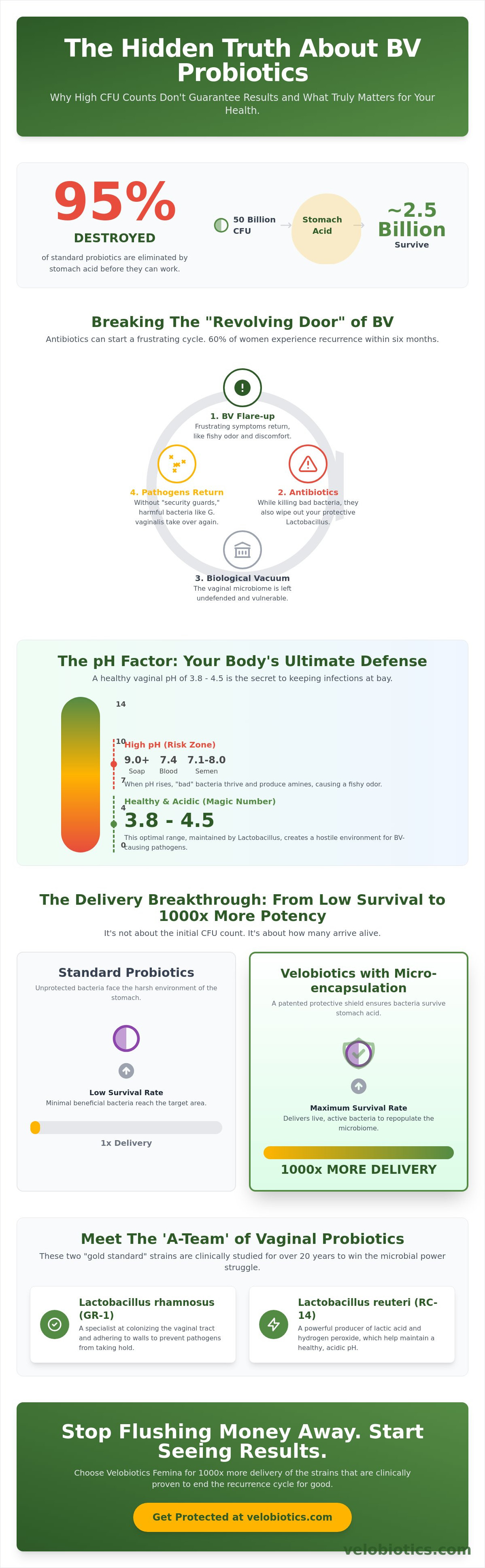 Bv probiotics