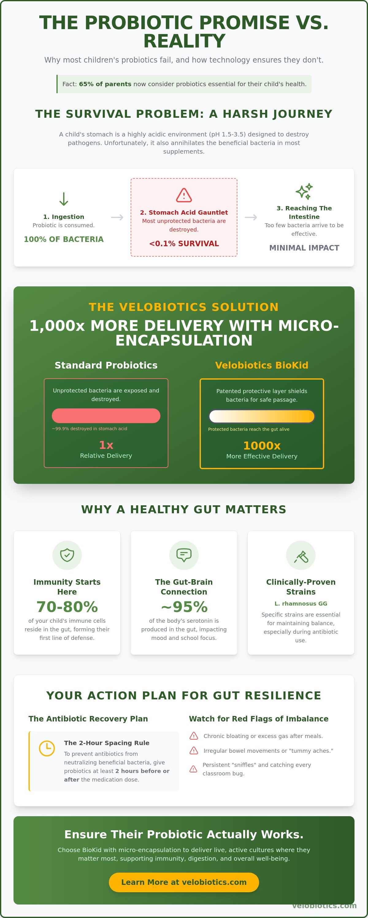 Probiotics kids