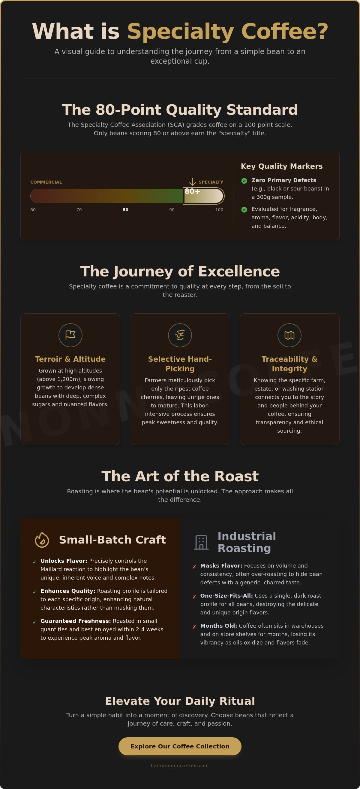 What is specialty coffee