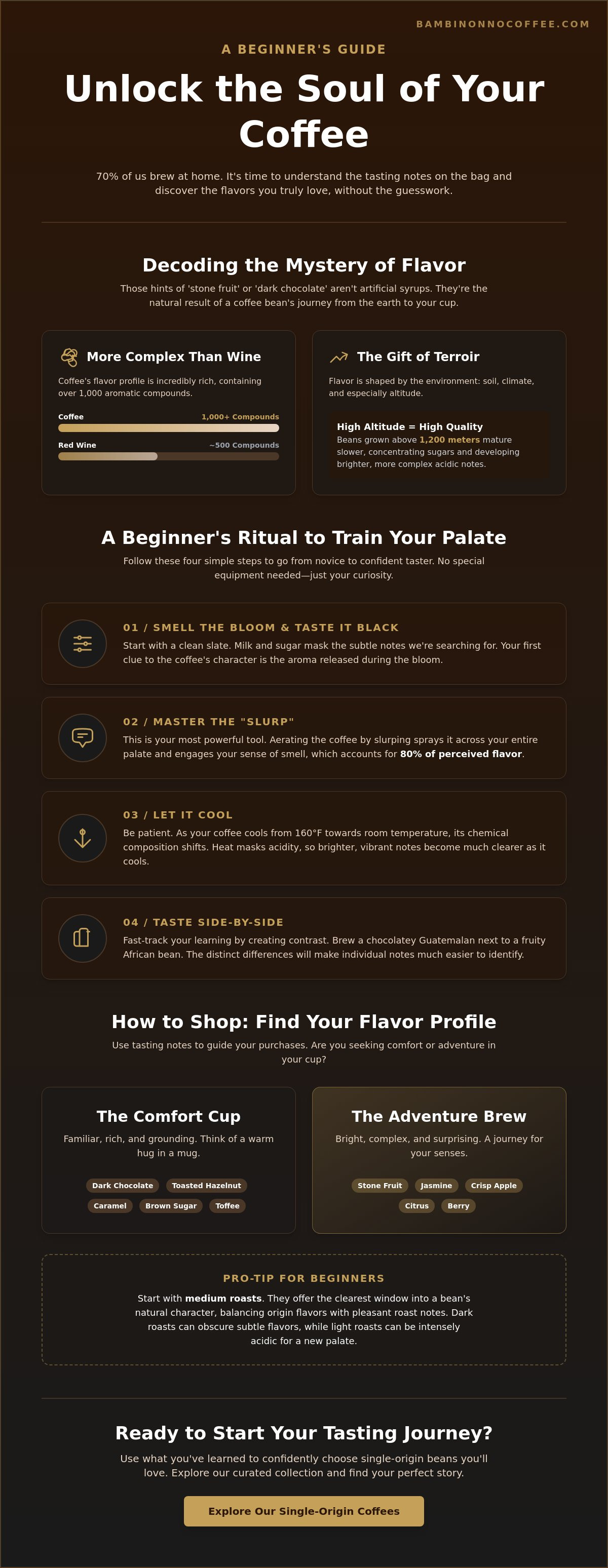 Coffee tasting notes for beginners