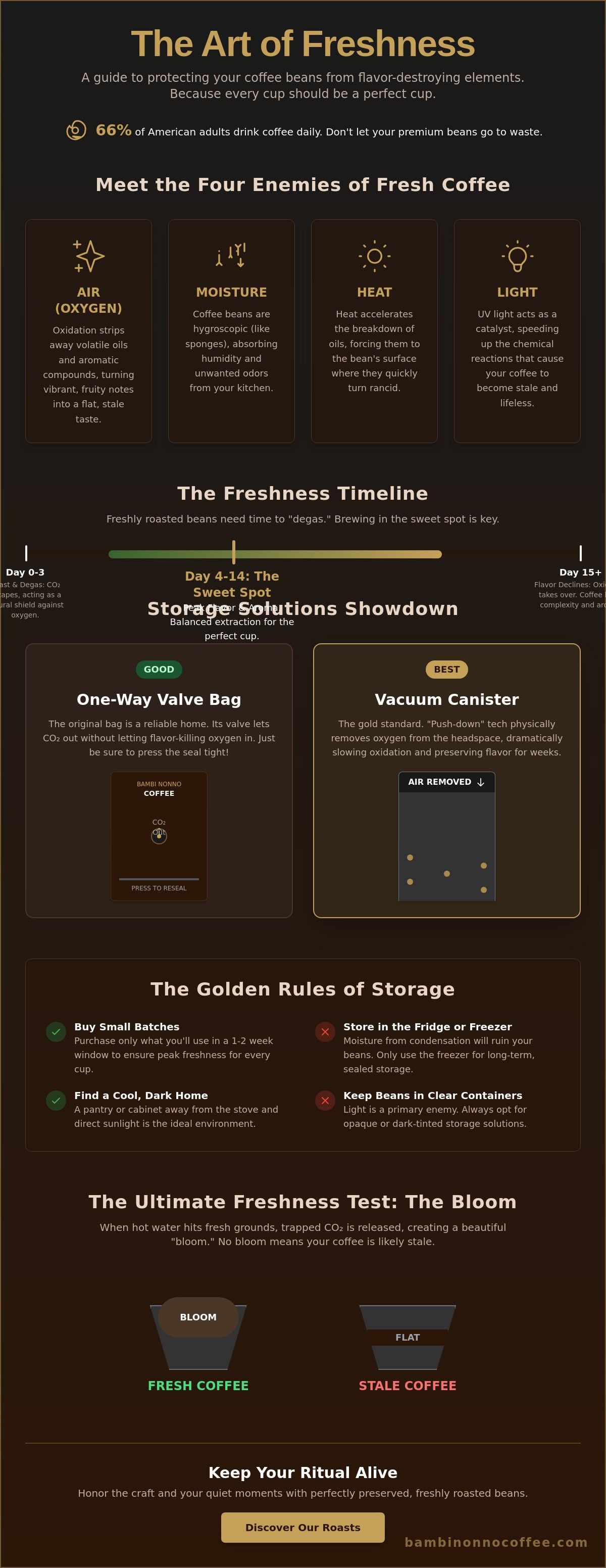 How to store coffee beans to keep them fresh