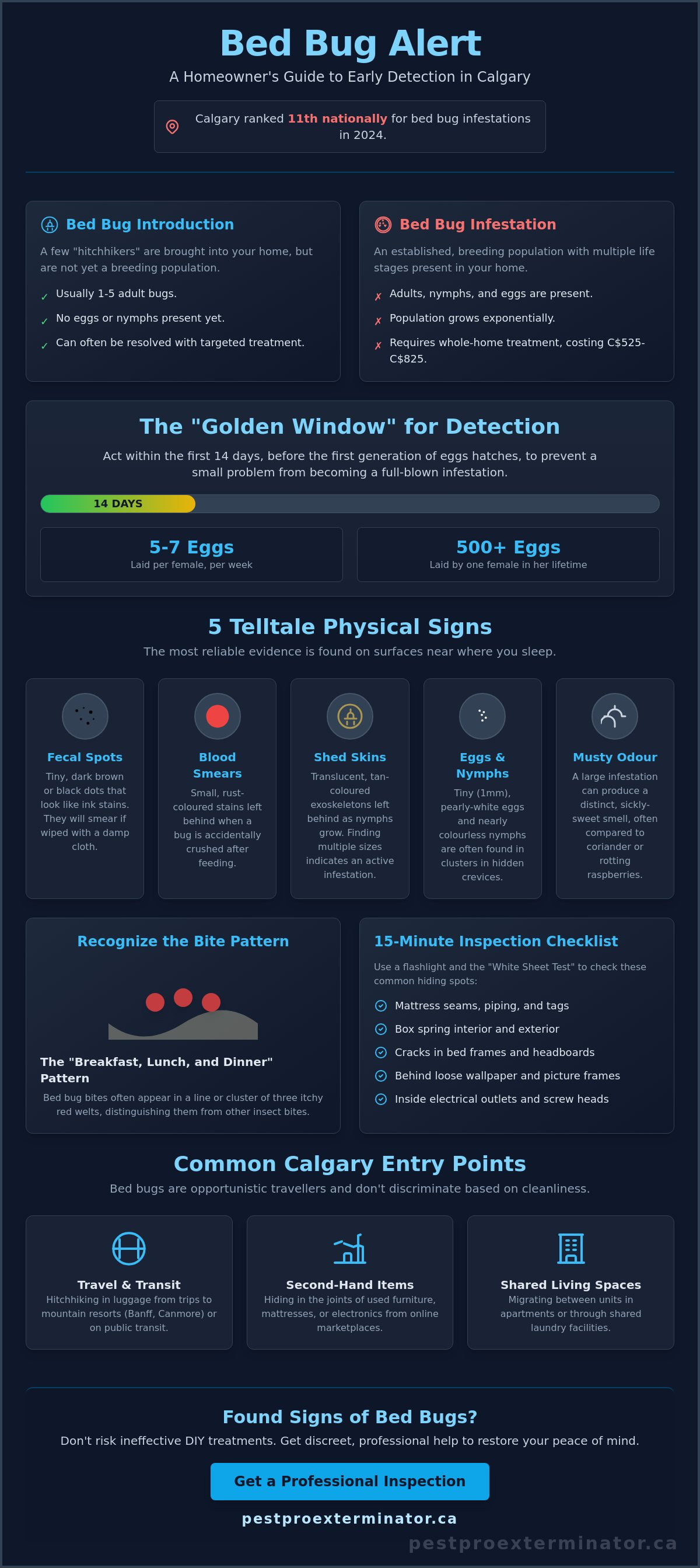 Early signs of bed bugs