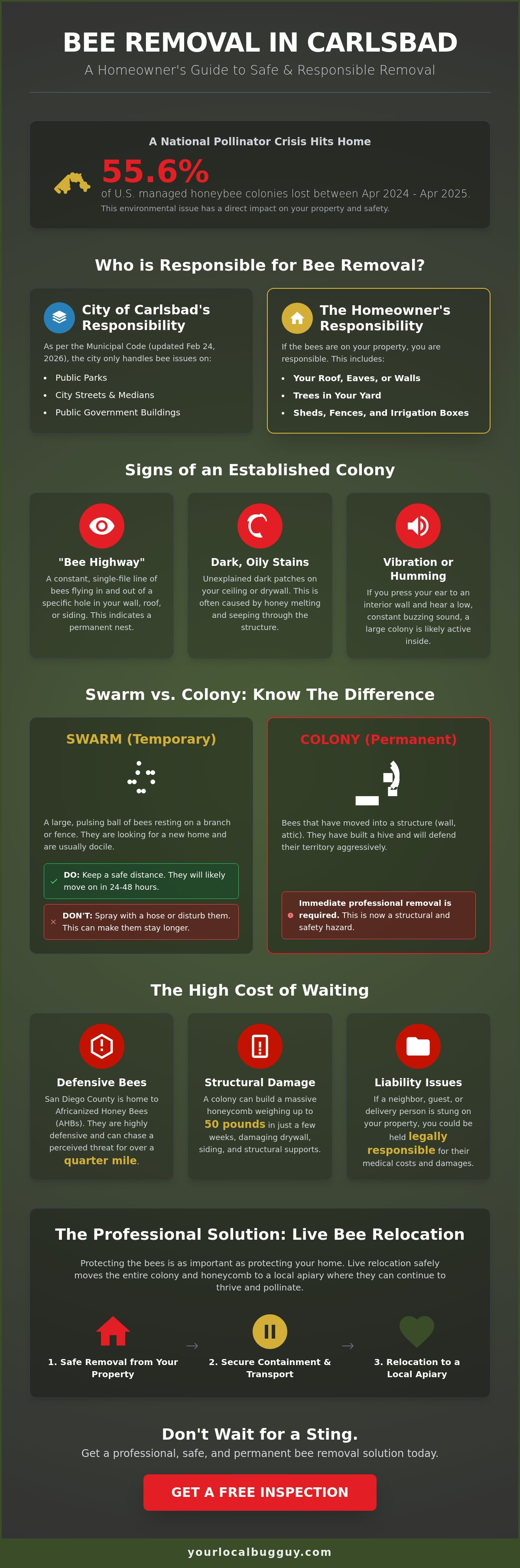 Bee removal service Carlsbad
