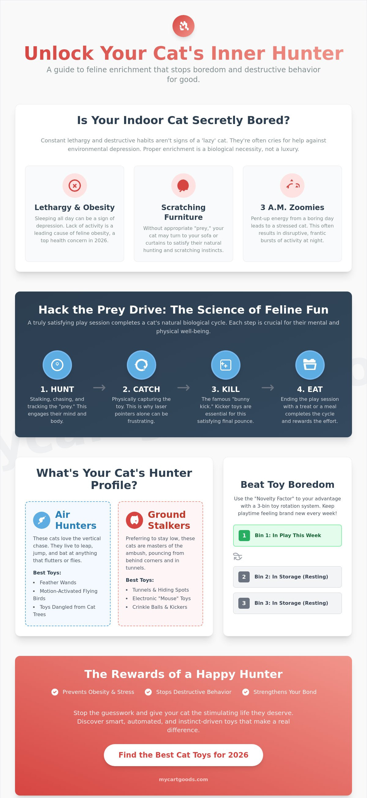 Best cat toys for indoor cats