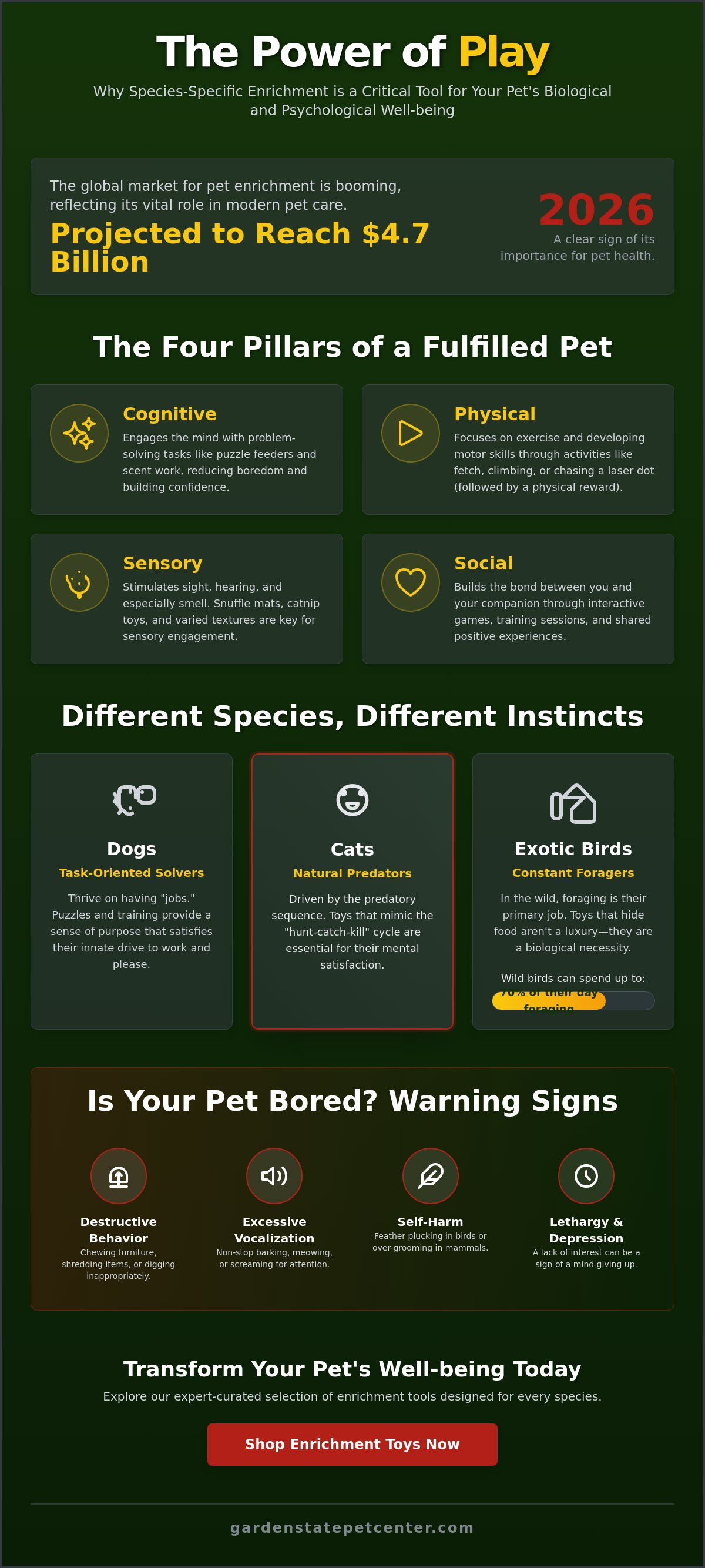Pet Toys and Accessories