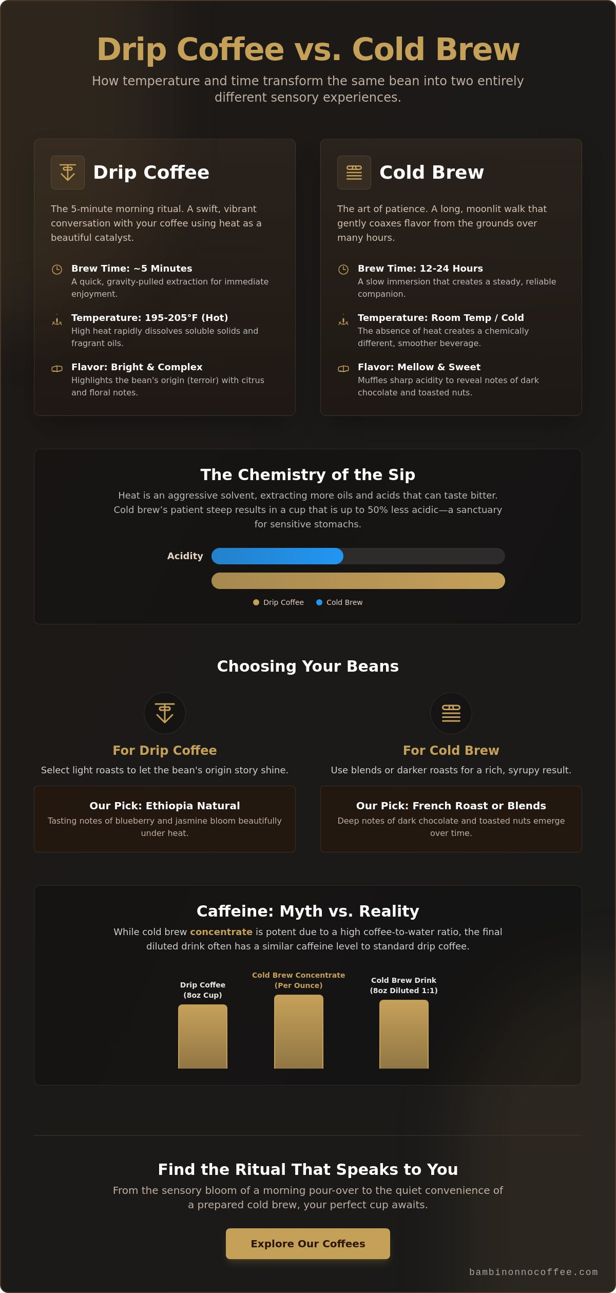 Drip coffee vs cold brew coffee