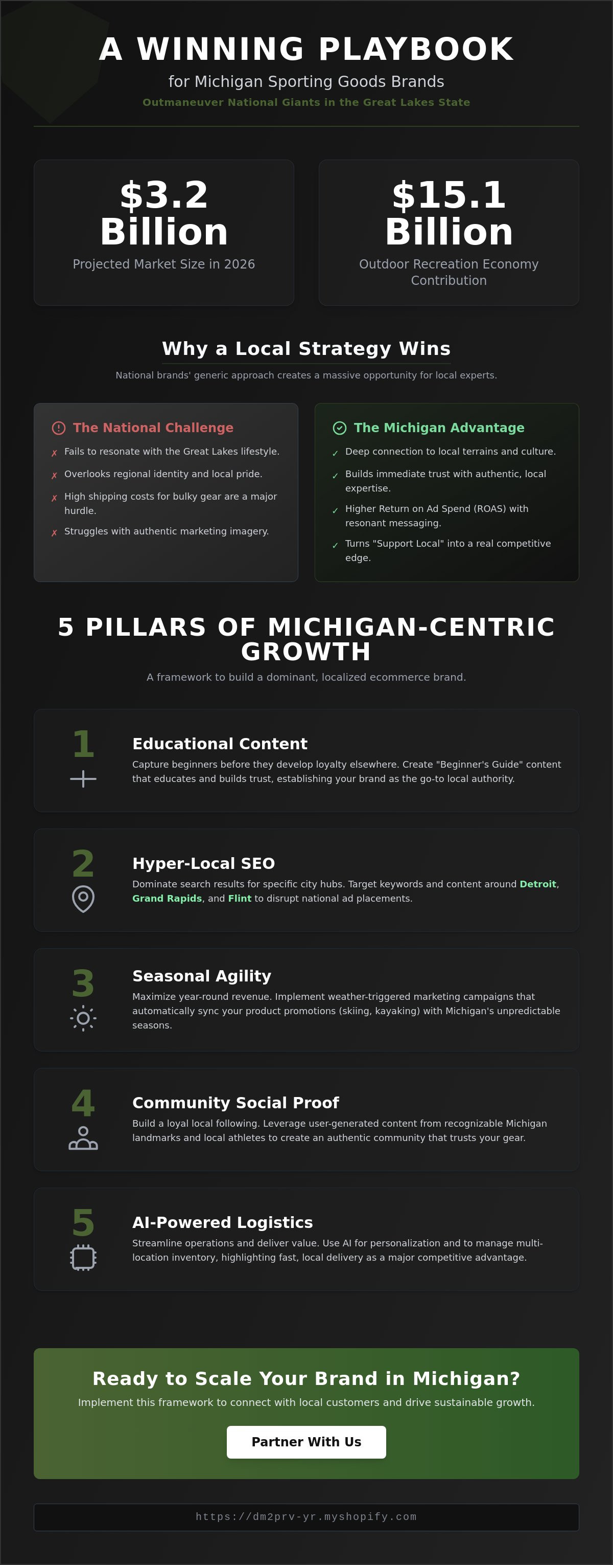 Ecommerce marketing strategy for sporting goods brands Michigan