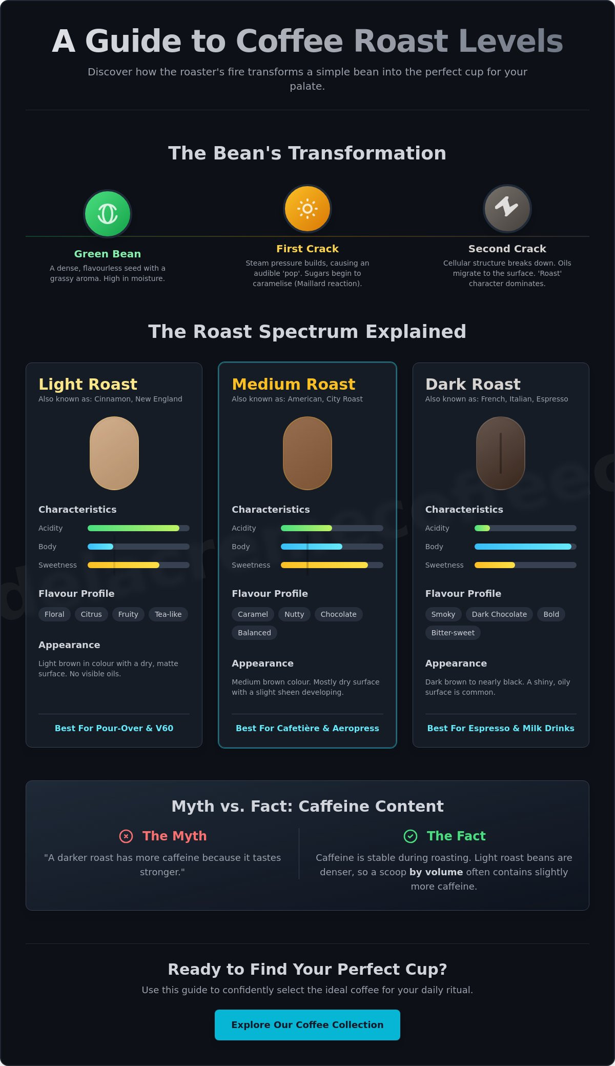 Coffee roast levels explained