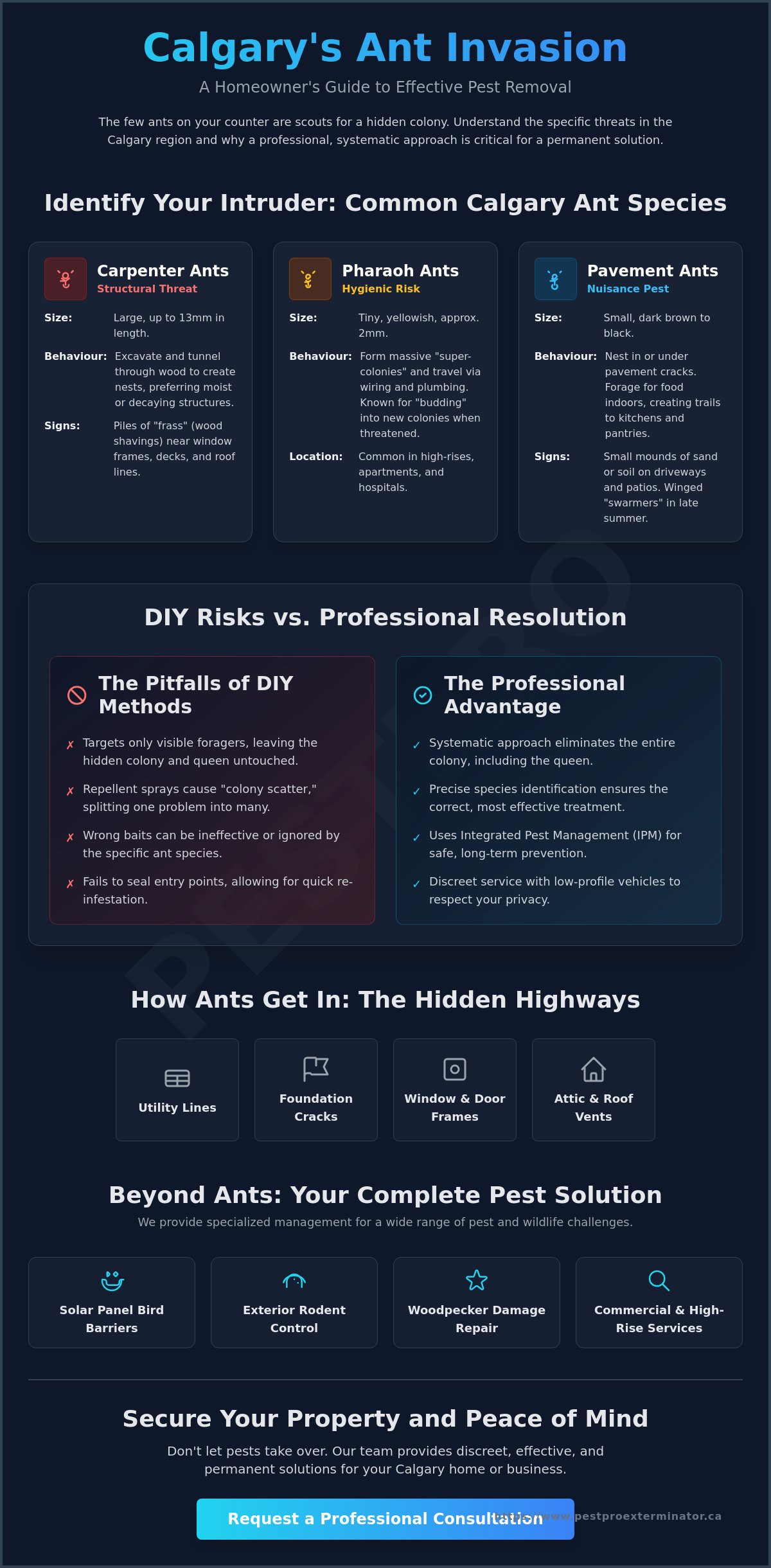 Ant pest removal