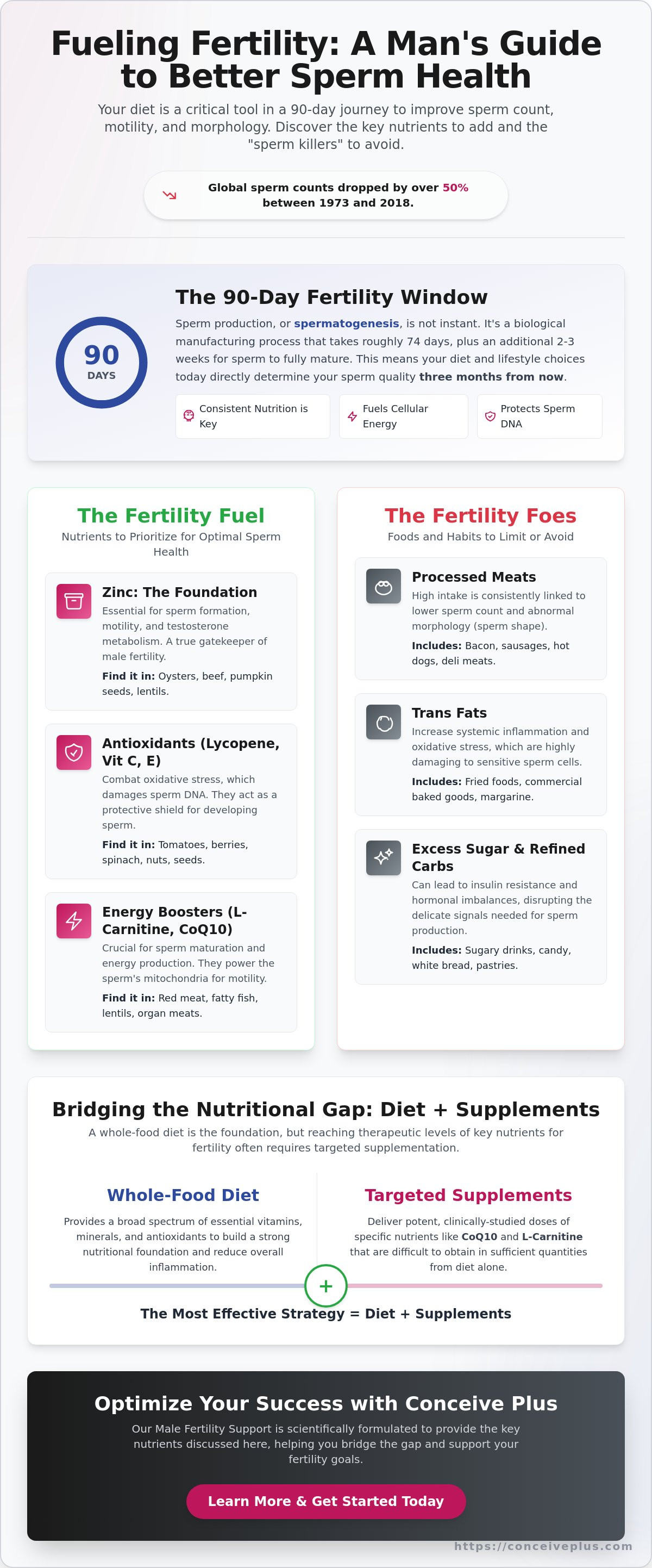 Foods to increase sperm count