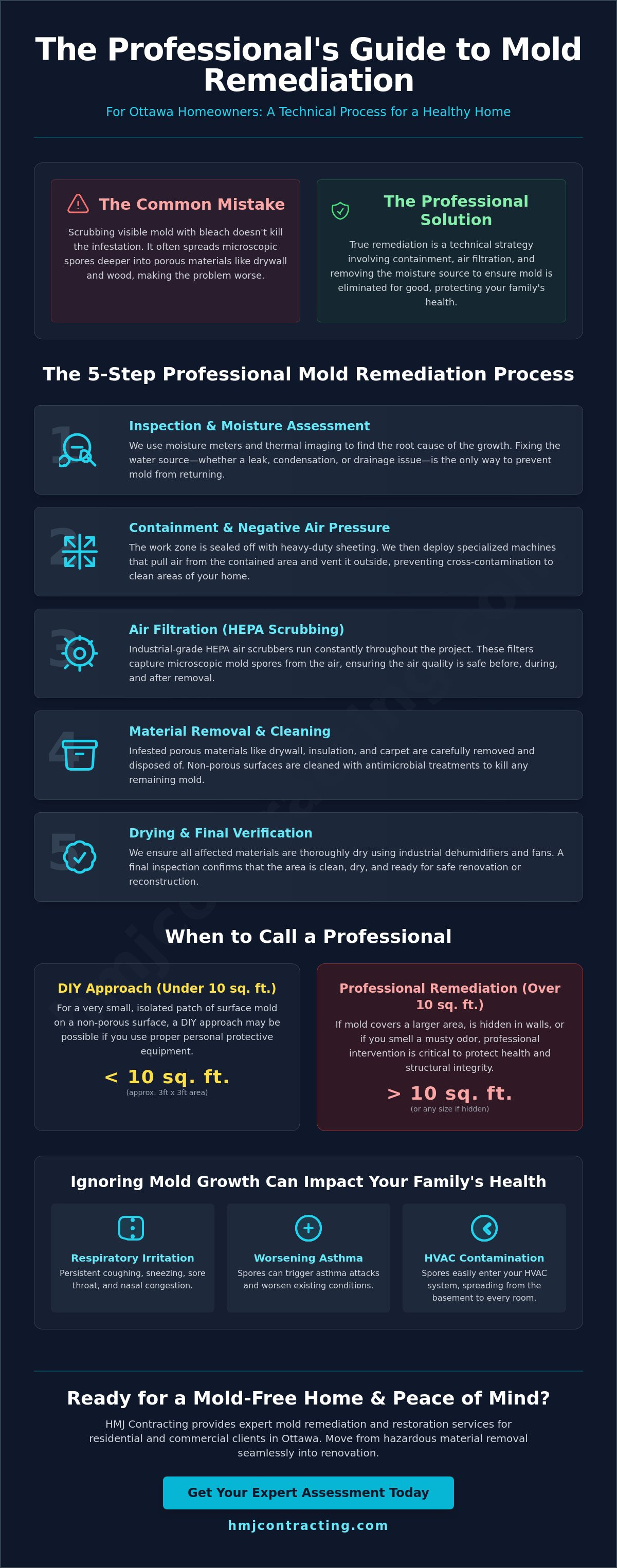 Professional mold remediation process
