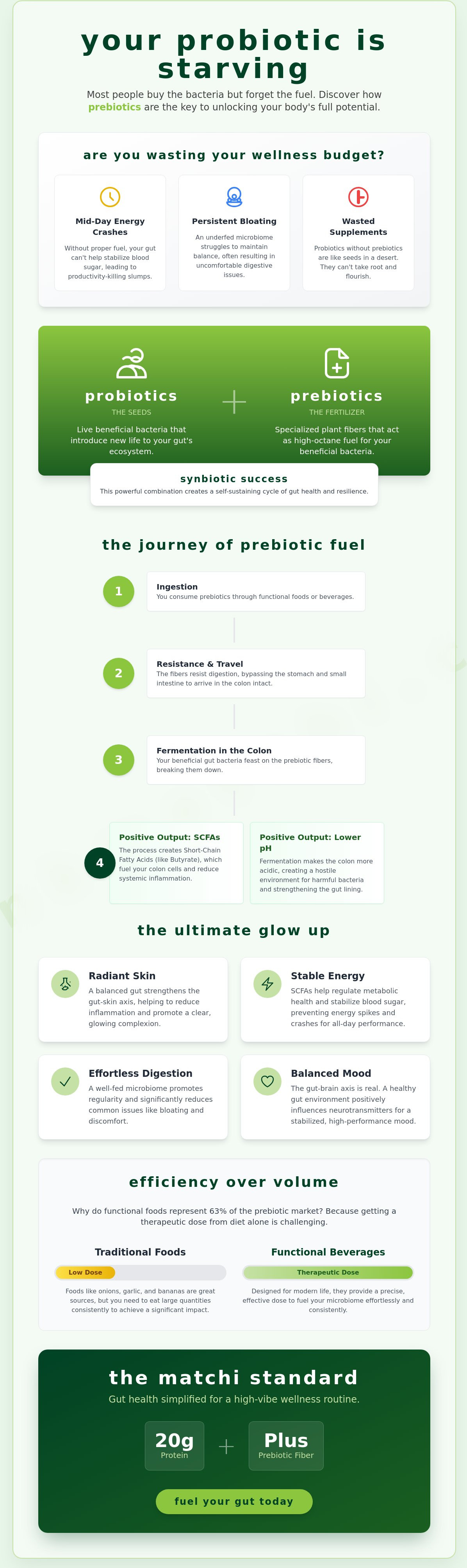 How prebiotics work