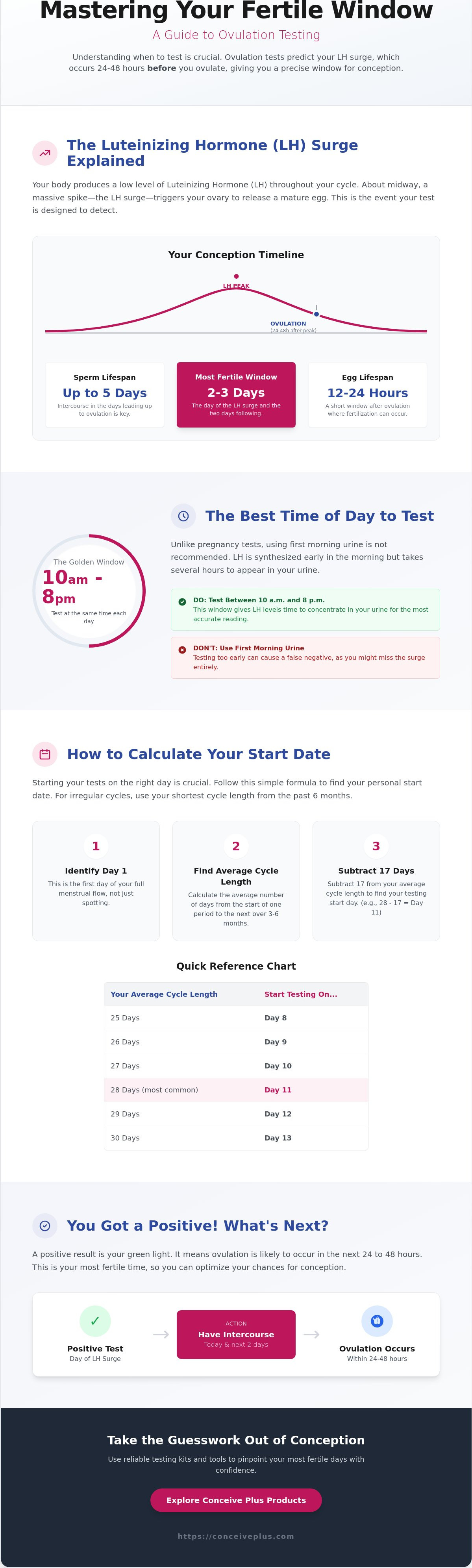 When to take an ovulation test