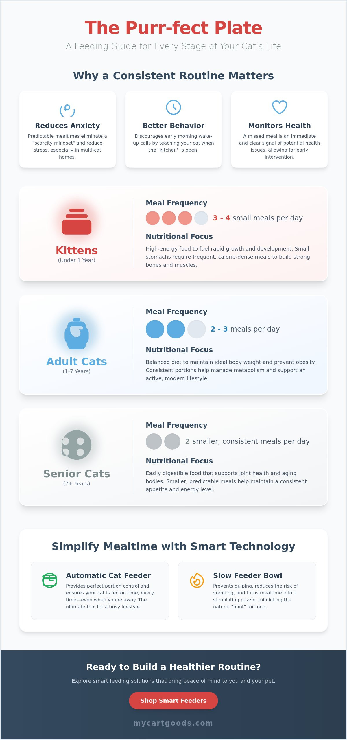 How to set a feeding schedule for my cat