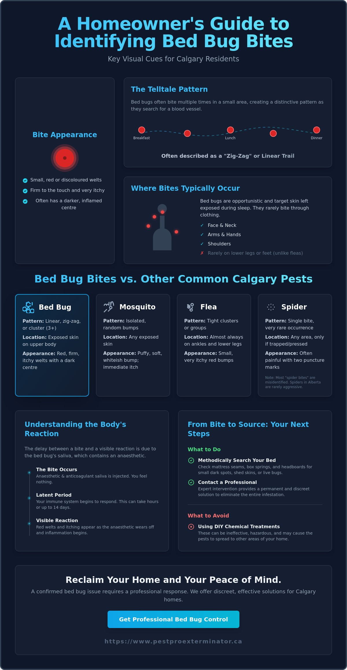 Bed bug bite