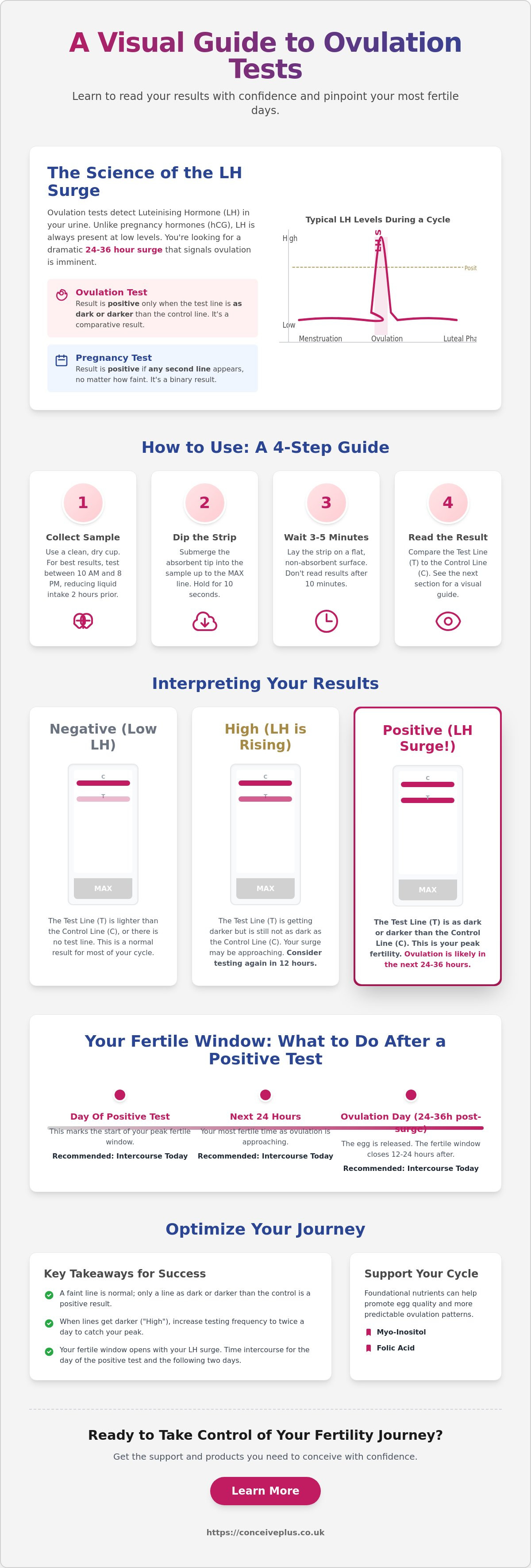 How to read an ovulation test strip