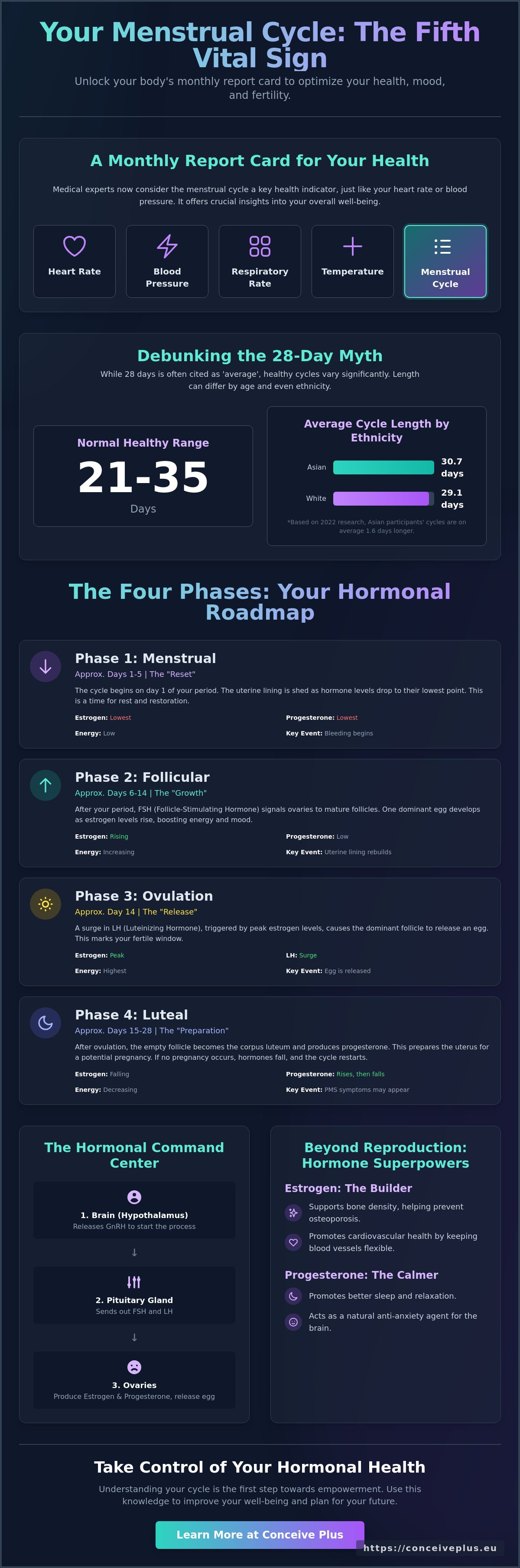 Understanding your menstrual cycle