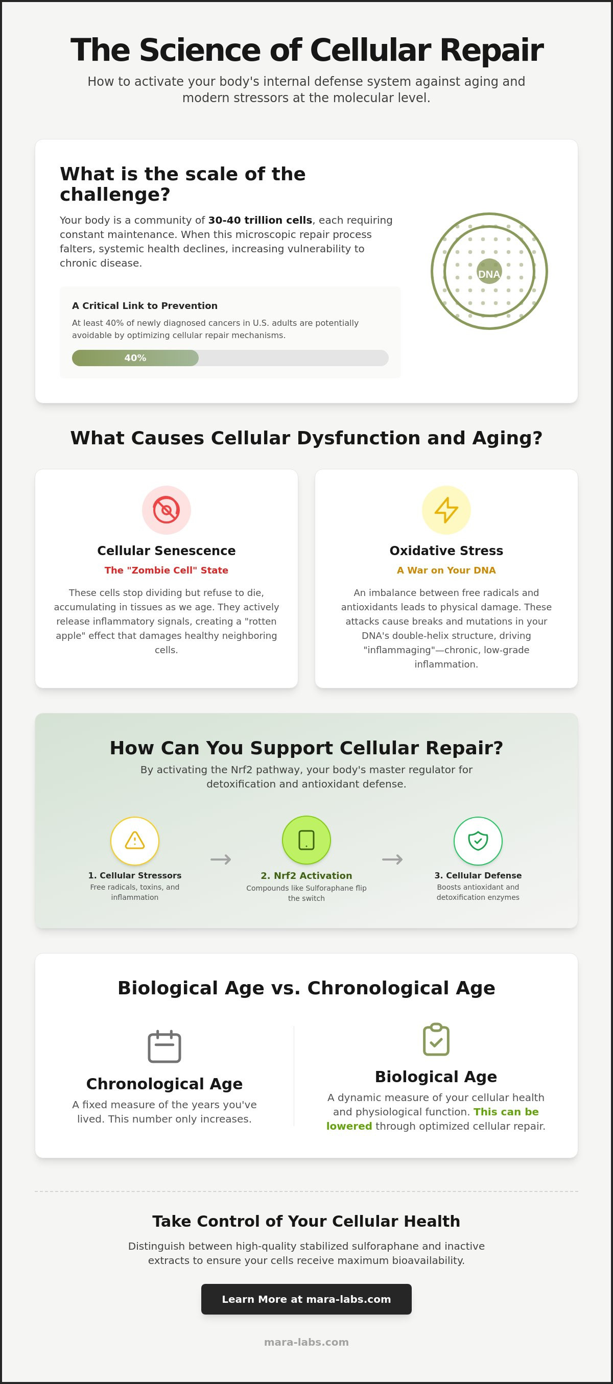Cellular repair