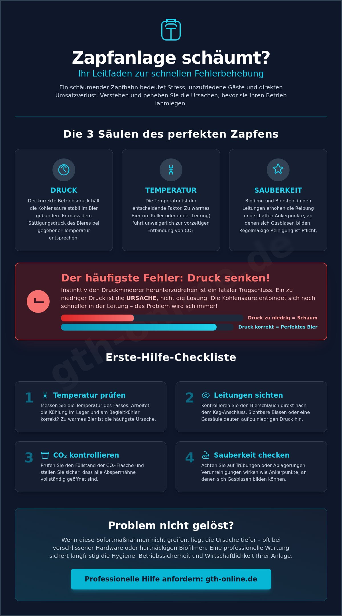 Zapfanlage schäumt was tun