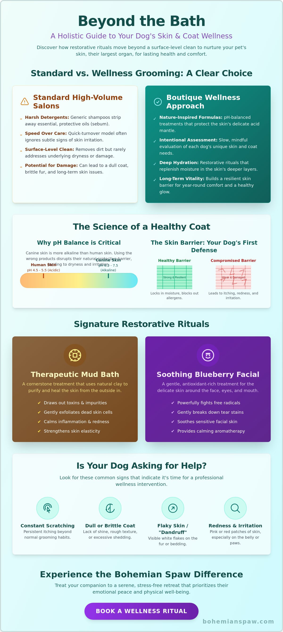 Dog skin and coat treatments Downers Grove