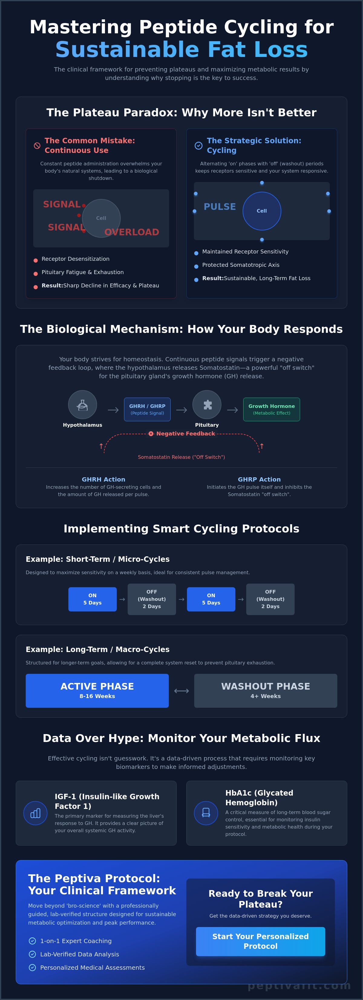 Peptide cycling for fat loss