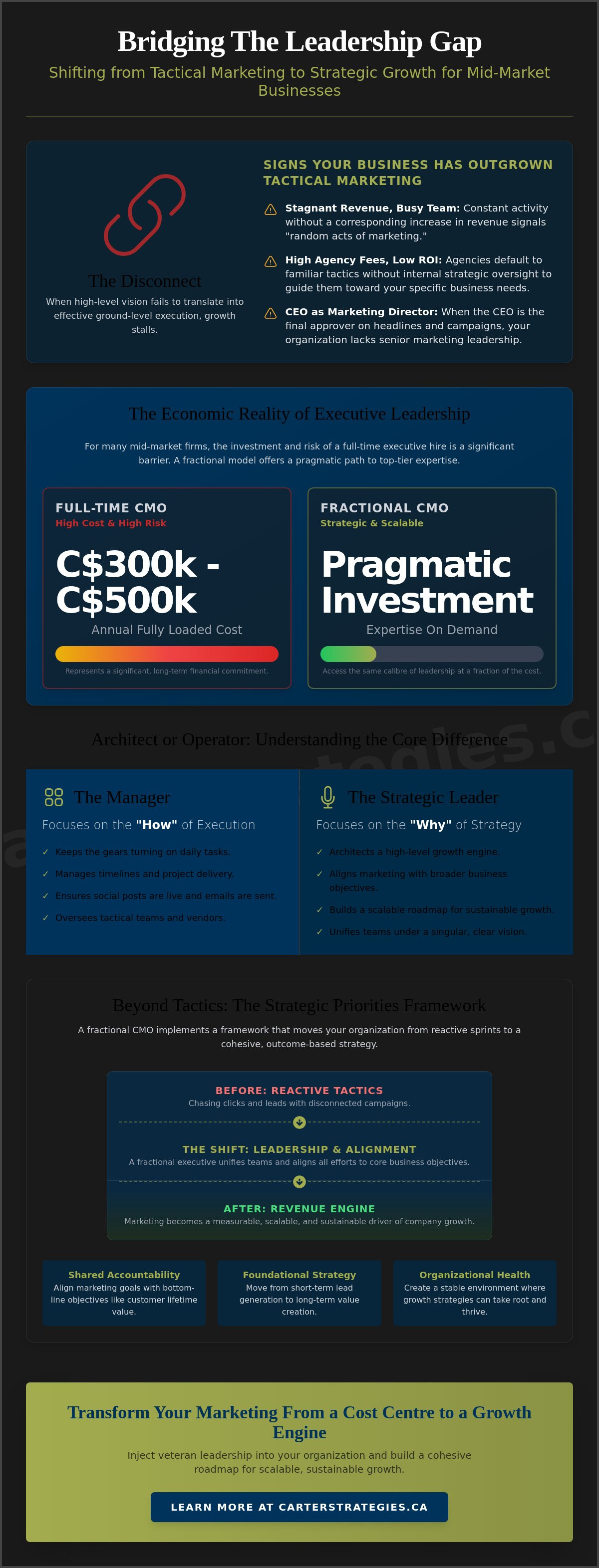 Fractional CMO services mid-size business