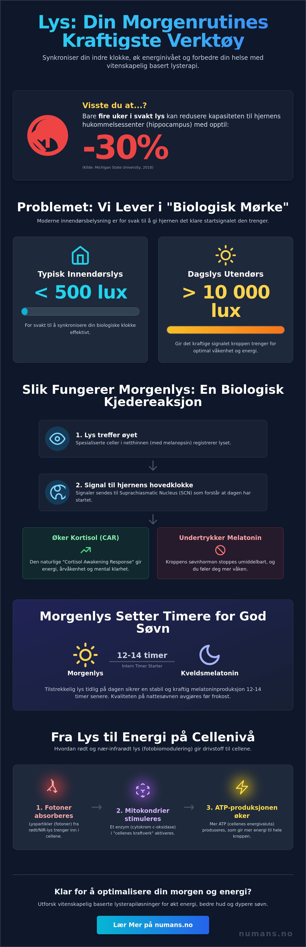 Lysterapi som en del av morgenrutinen
