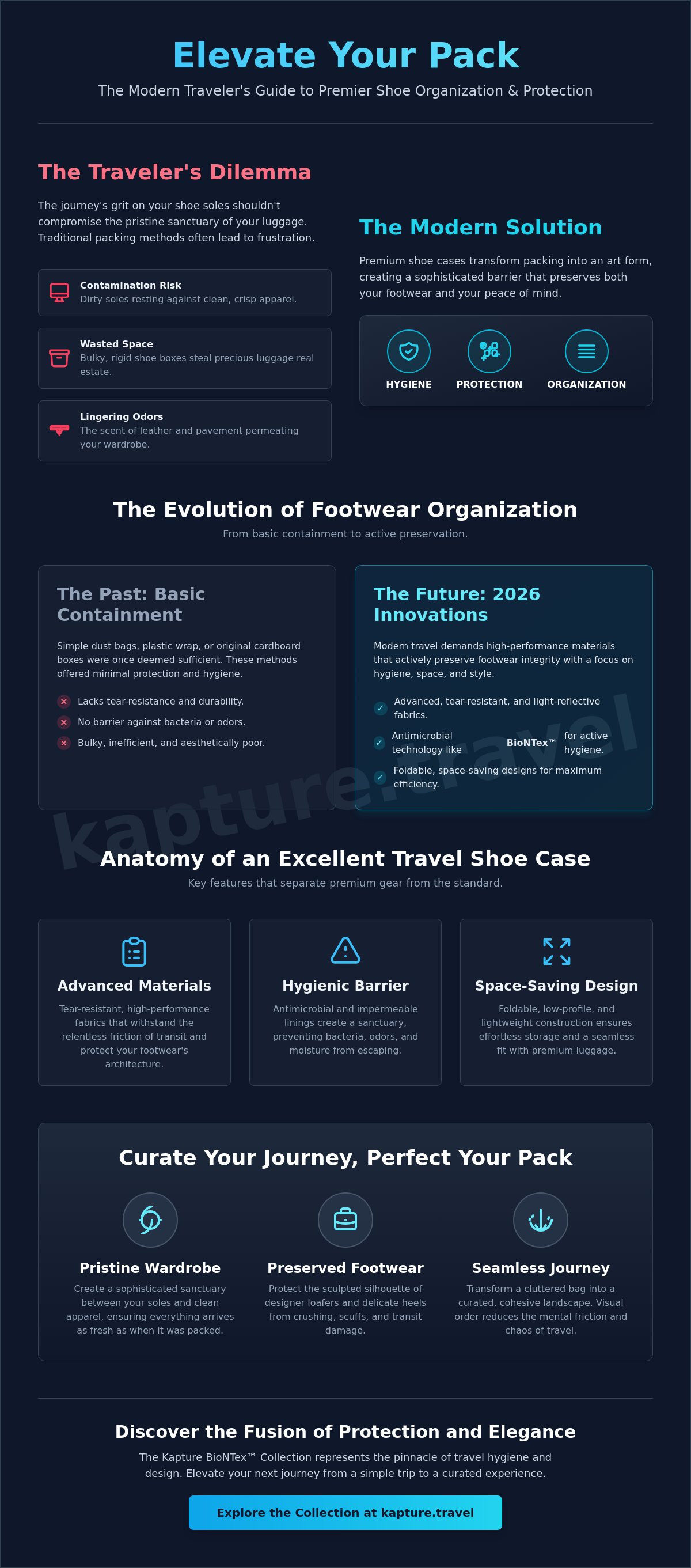 Shoe cases