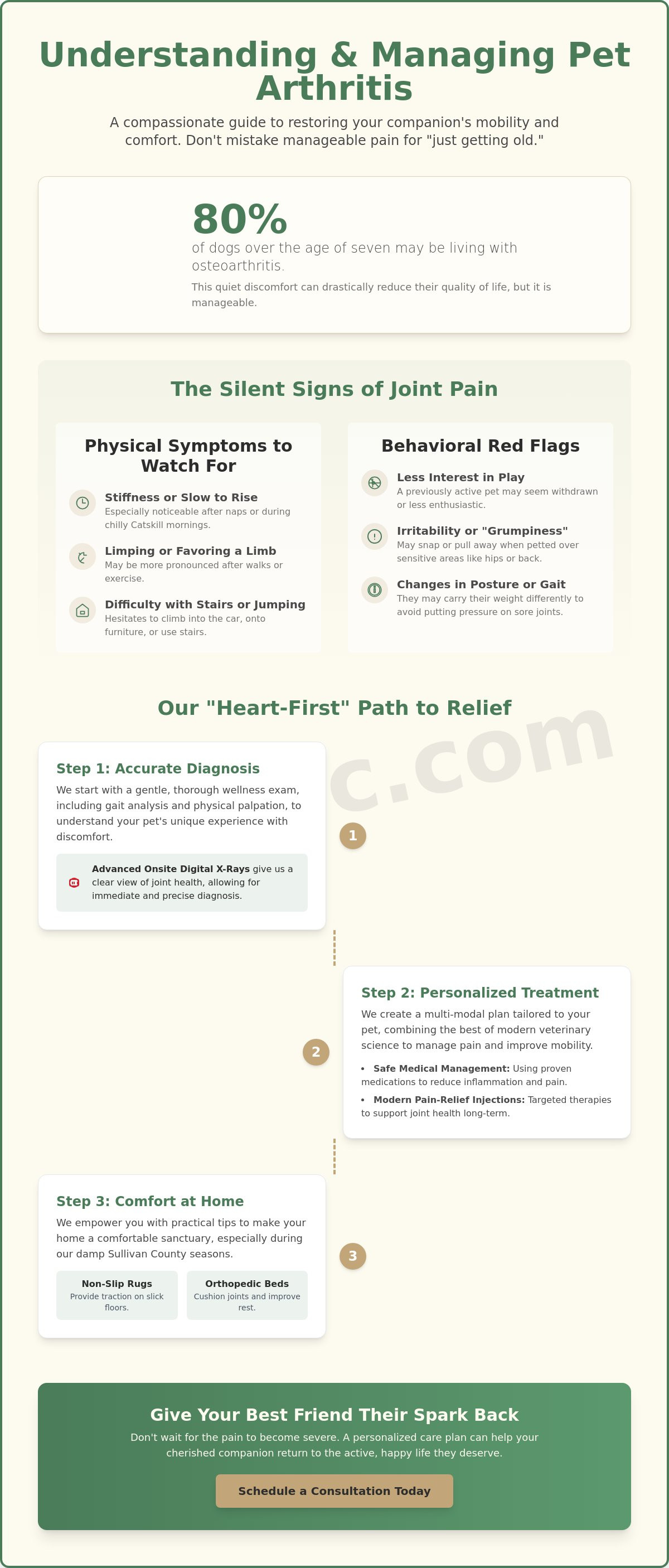 Pet arthritis treatment Sullivan County