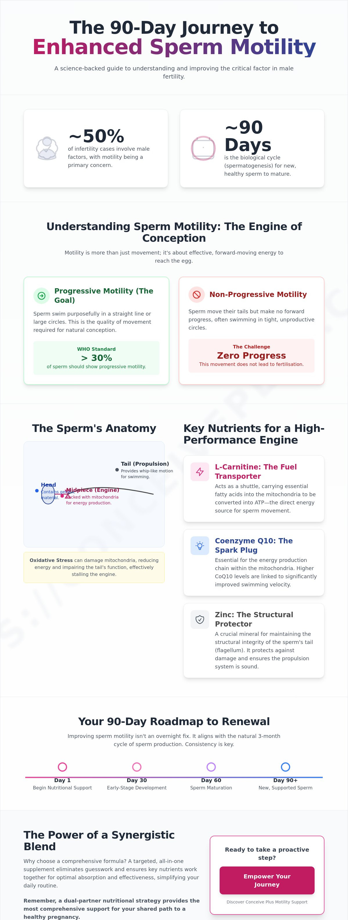 How to increase sperm motility