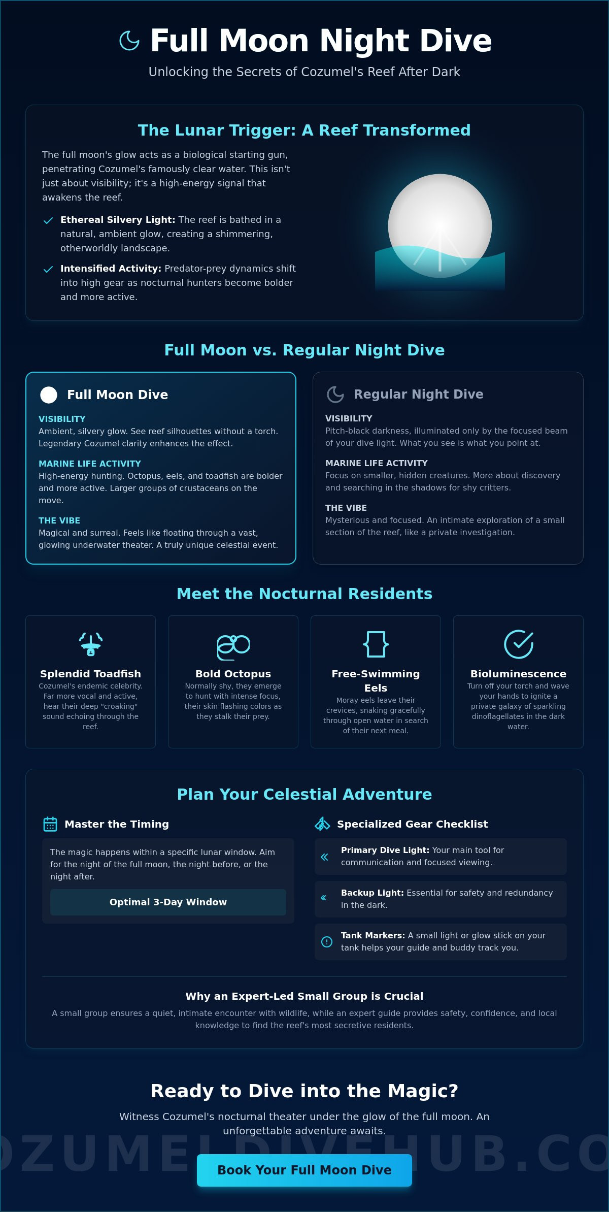 Full moon night dive cozumel