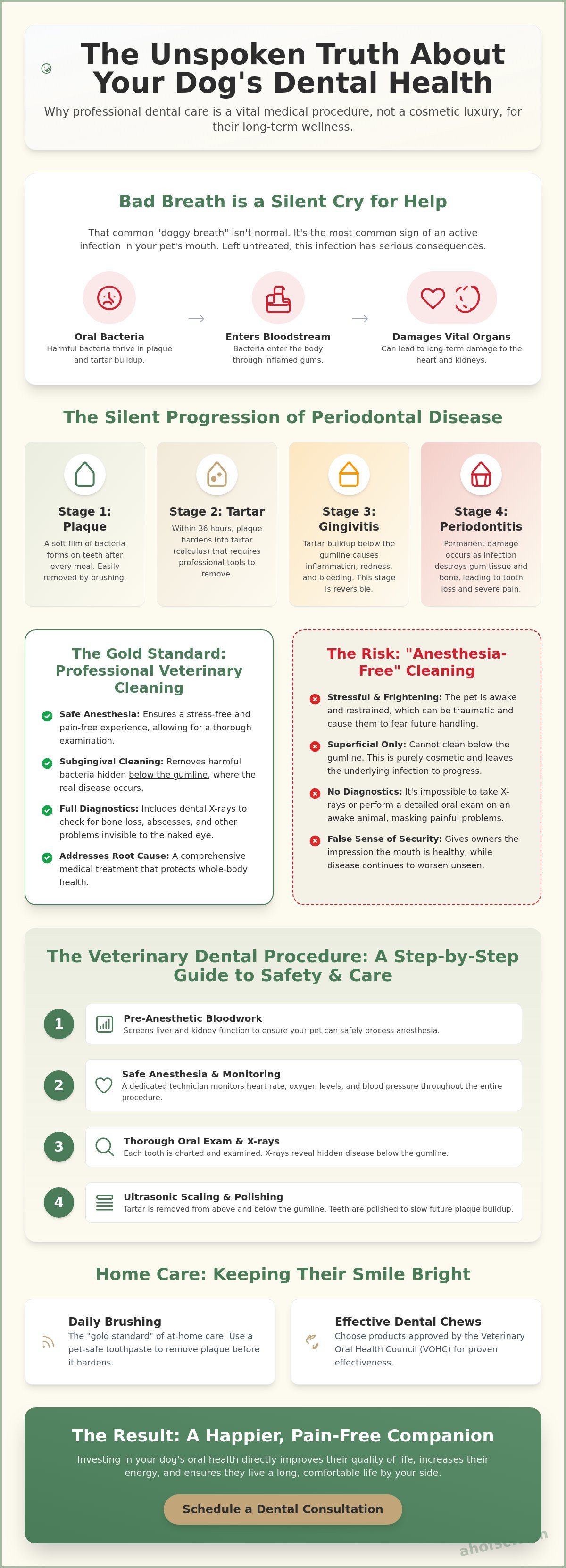 Dental cleaning for dogs Sullivan County