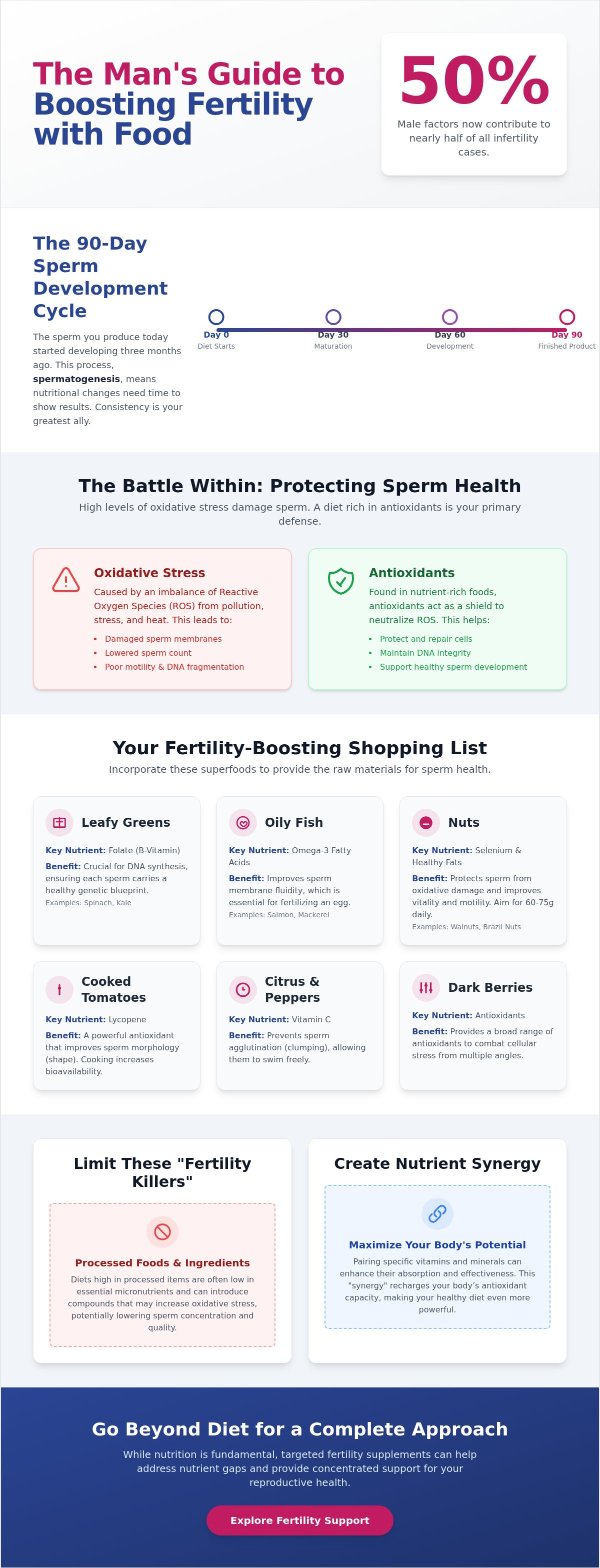 Foods to increase sperm count