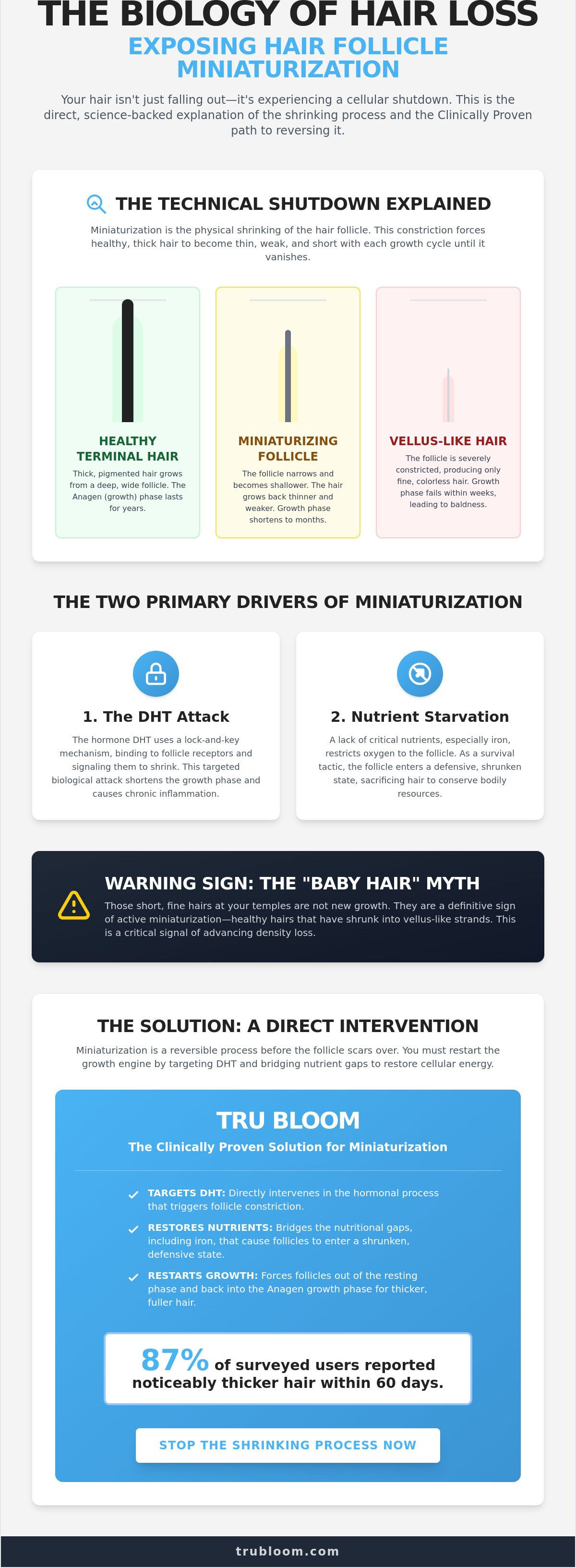 Hair follicle miniaturization