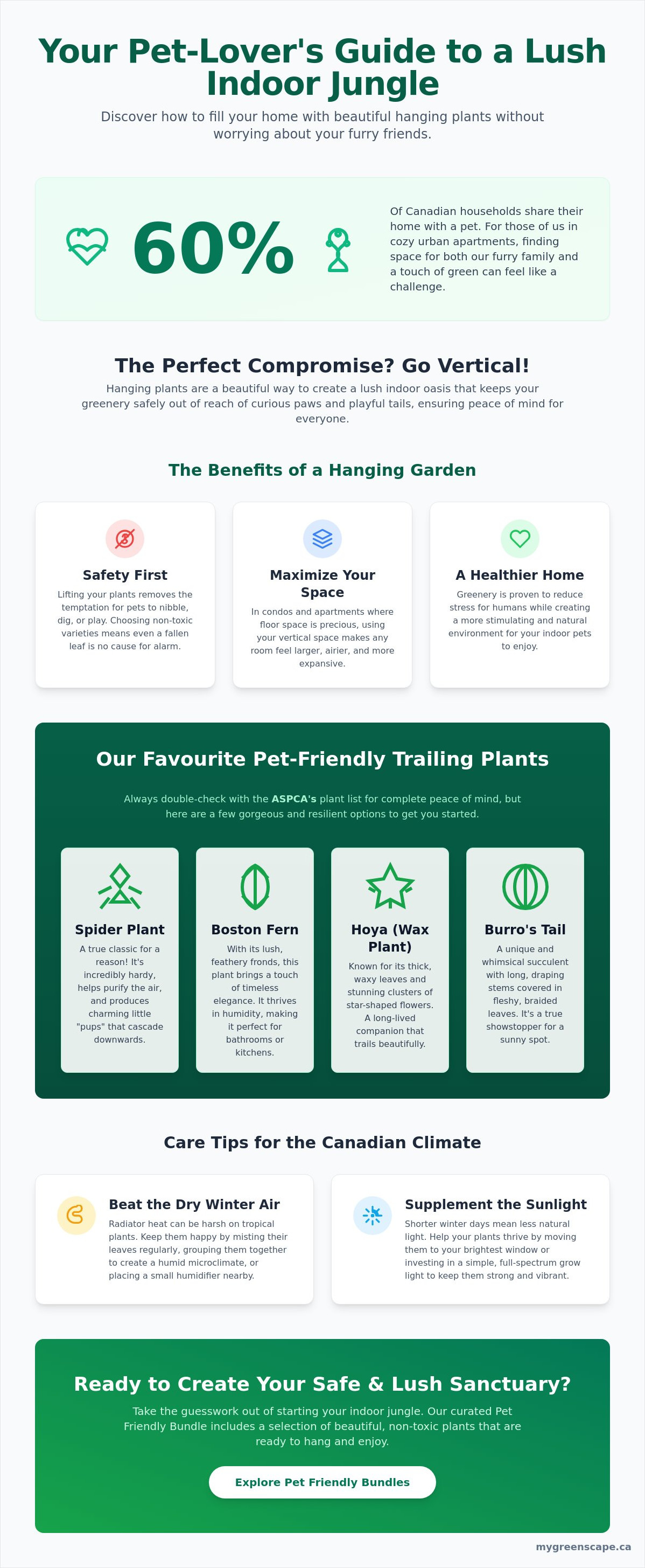 Pet friendly hanging plants