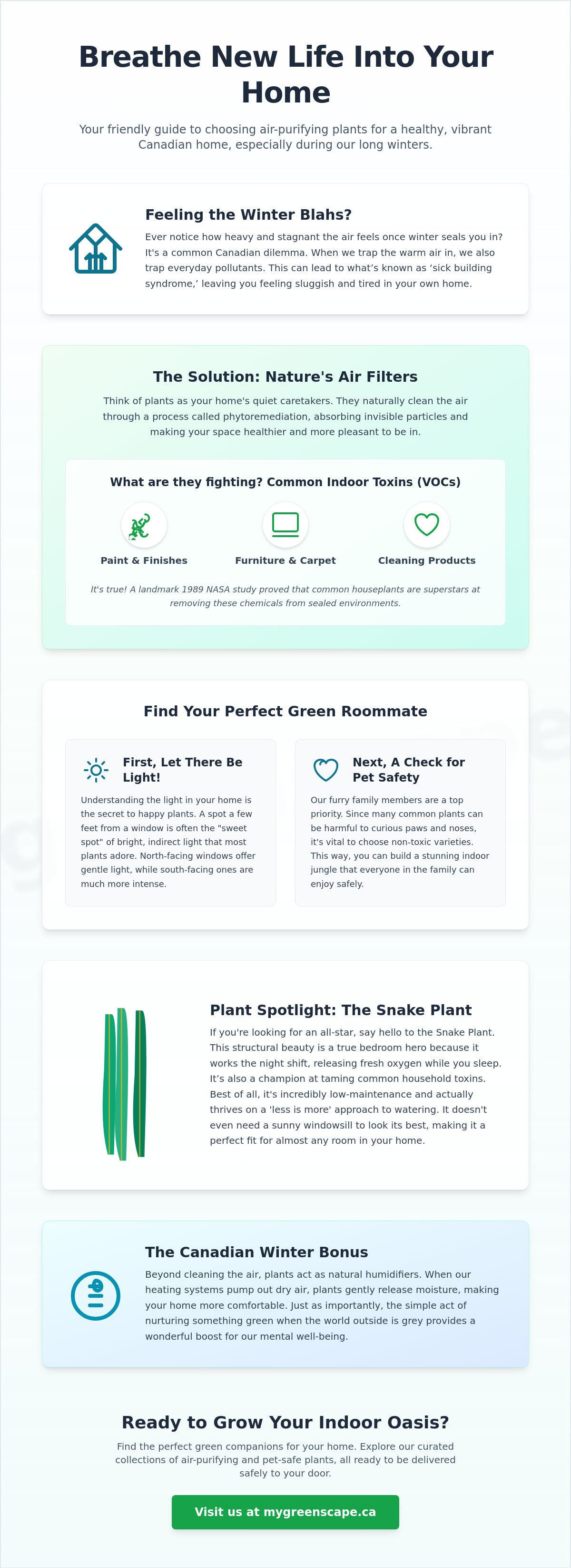 Air purifying plants