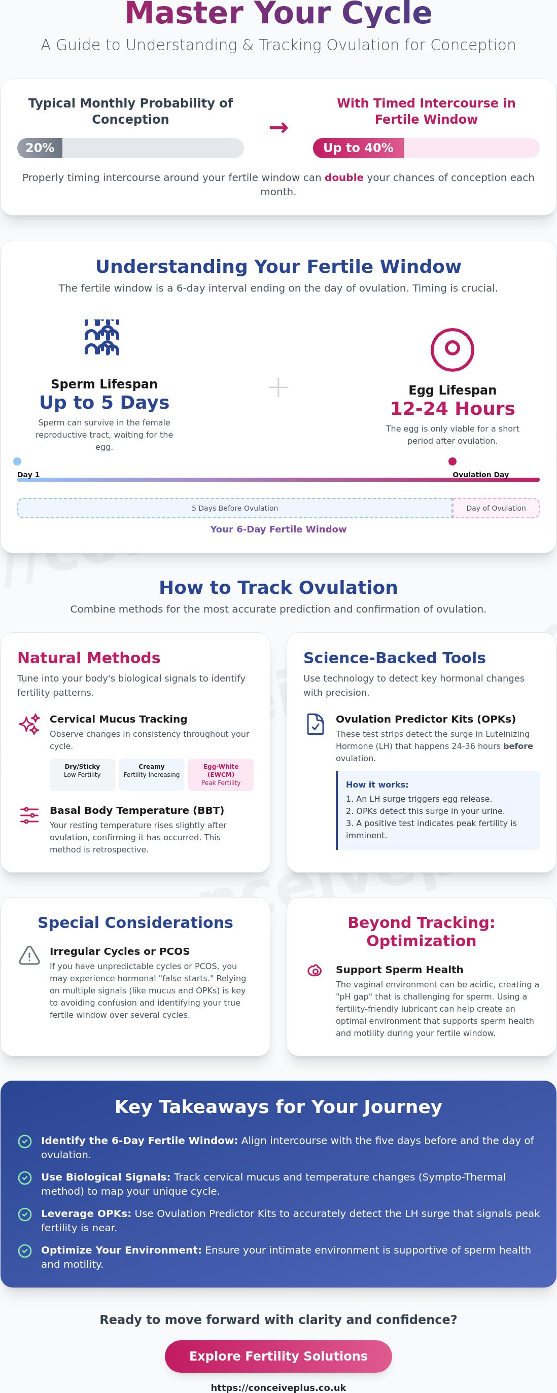 How to track ovulation