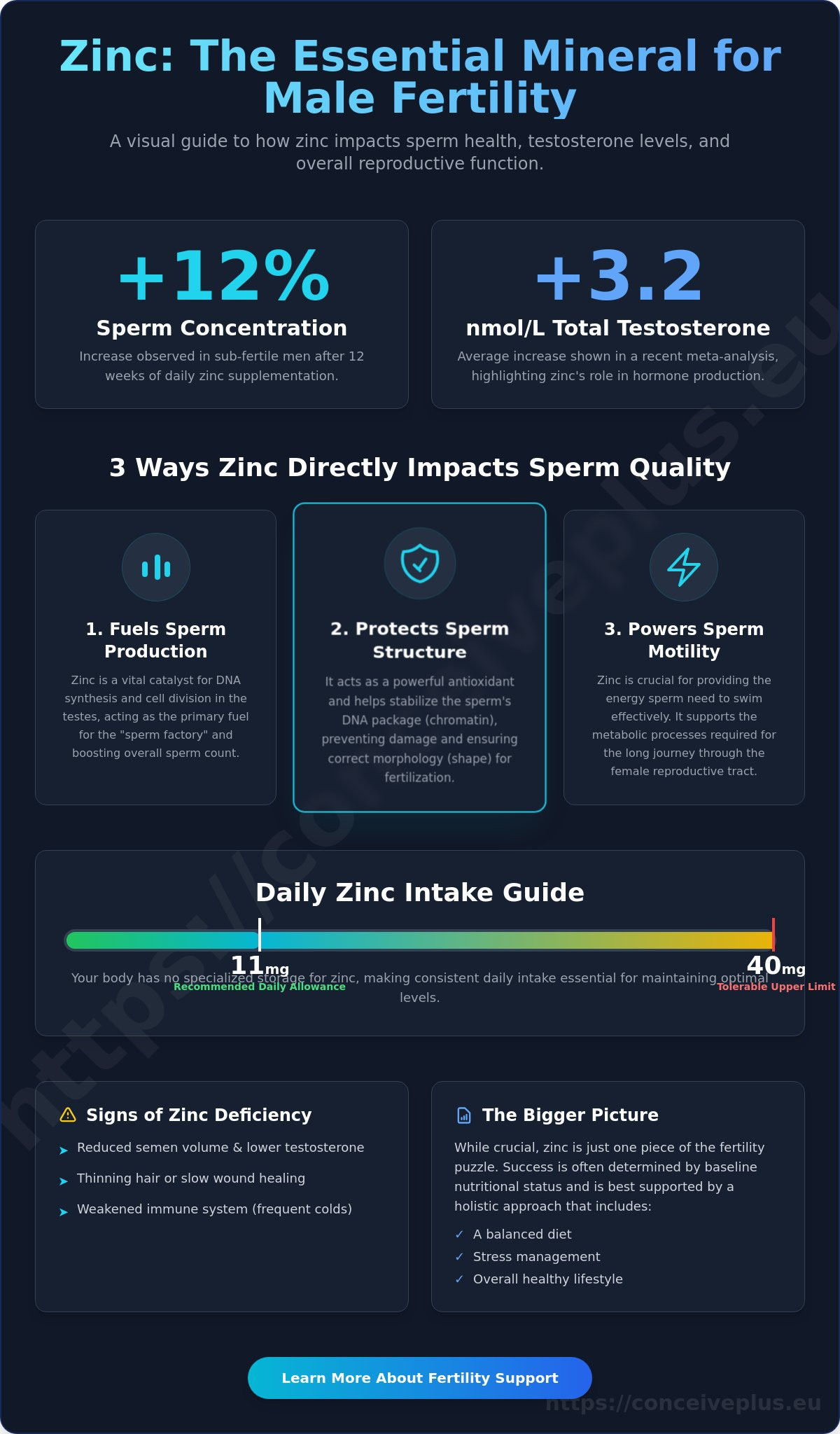 Does zinc help male fertility